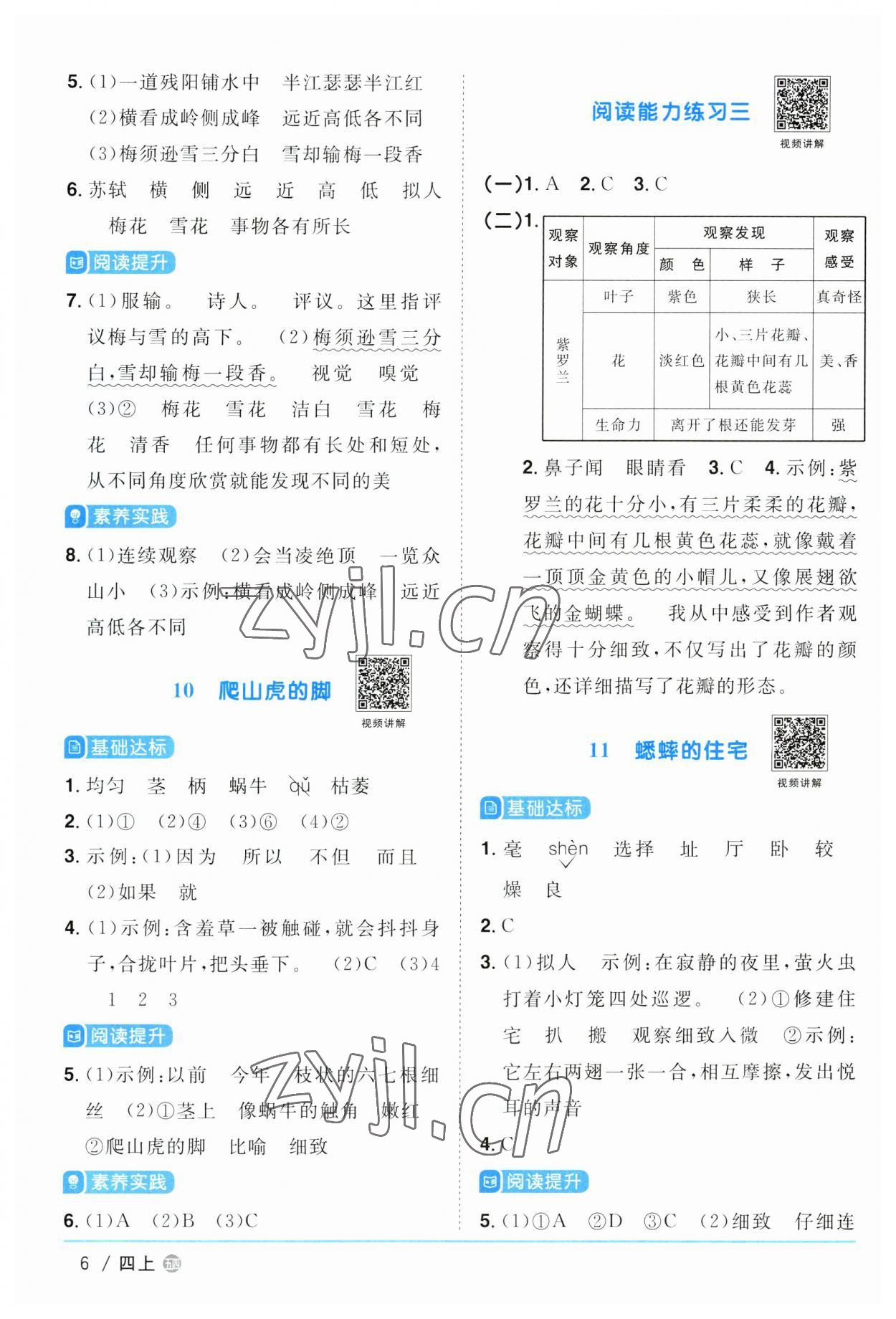 2023年阳光同学课时优化作业四年级语文上册人教版五四制 第6页