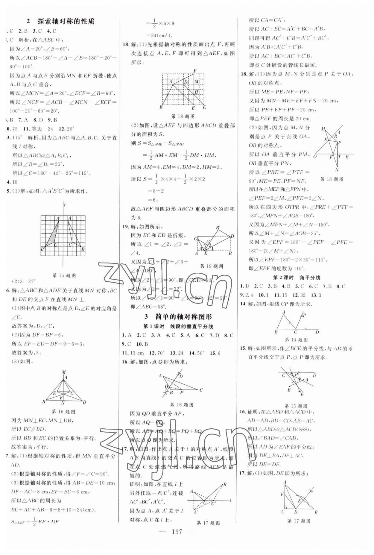 2023年細解巧練七年級數(shù)學(xué)上冊魯教版54制 第5頁