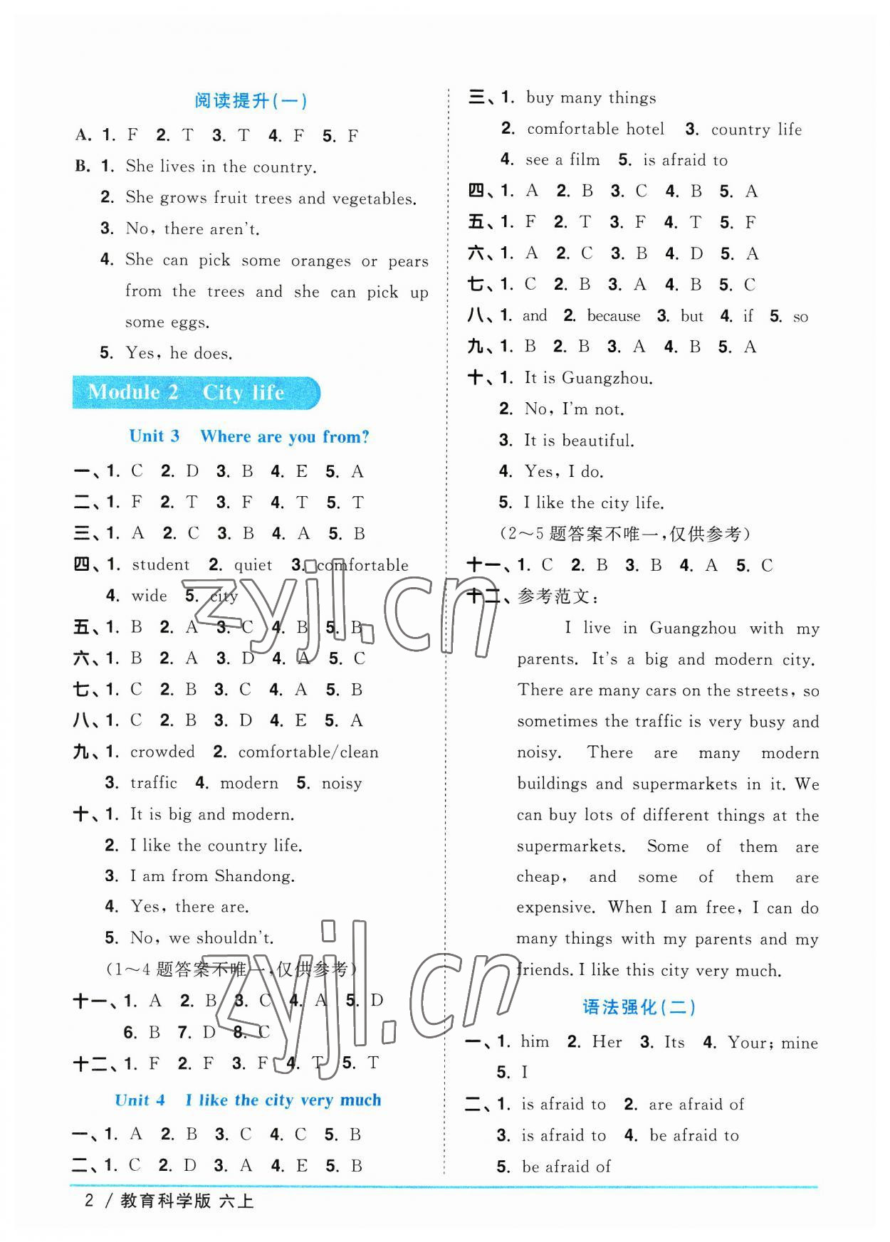 2023年阳光同学课时优化作业六年级英语上册教科版广州专版 参考答案第2页