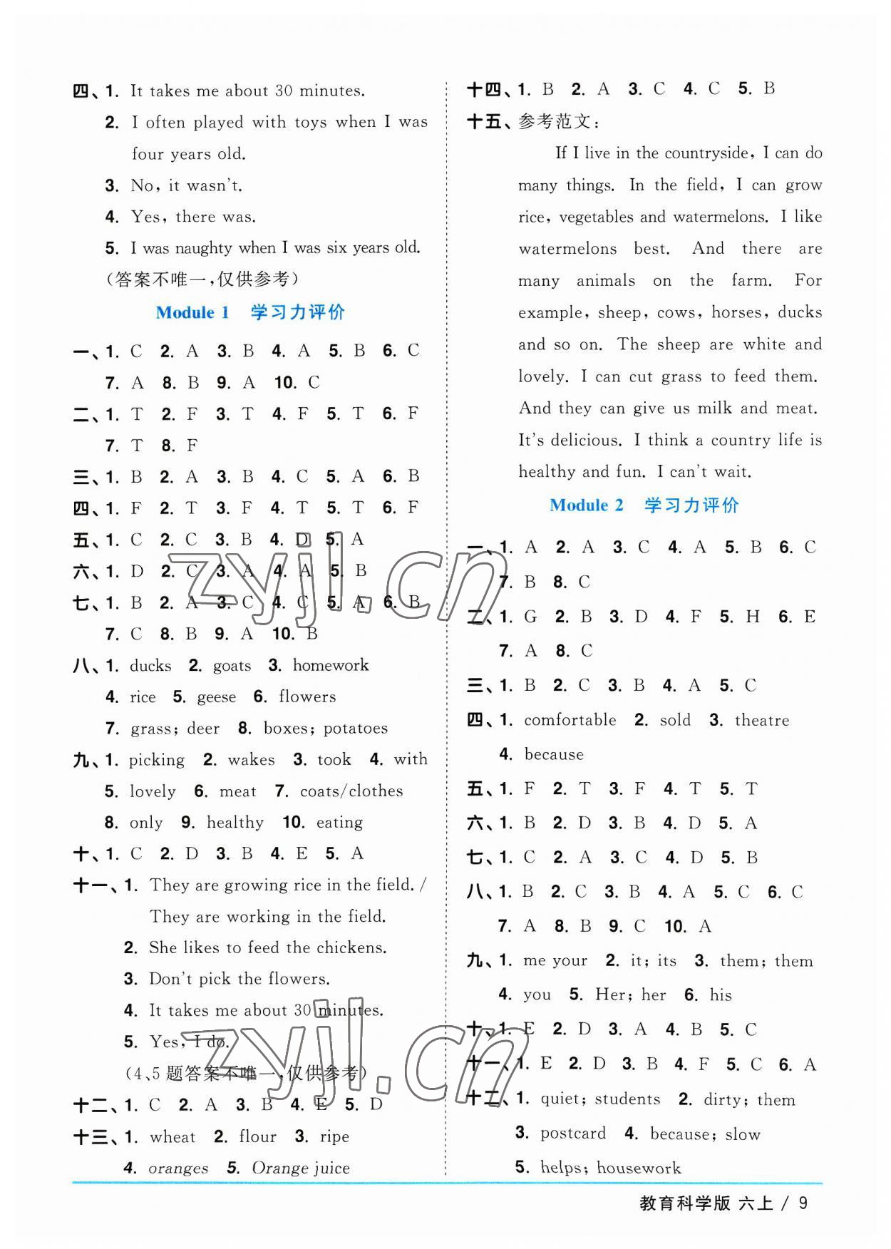 2023年陽光同學(xué)課時(shí)優(yōu)化作業(yè)六年級(jí)英語上冊(cè)教科版廣州專版 參考答案第9頁