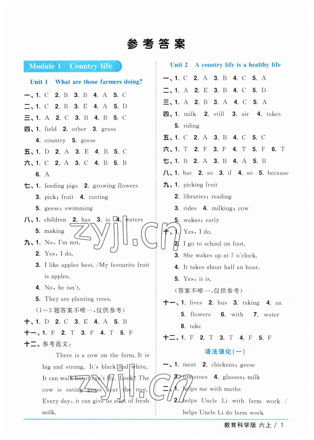 2023年陽(yáng)光同學(xué)課時(shí)優(yōu)化作業(yè)六年級(jí)英語(yǔ)上冊(cè)教科版廣州專(zhuān)版 參考答案第1頁(yè)