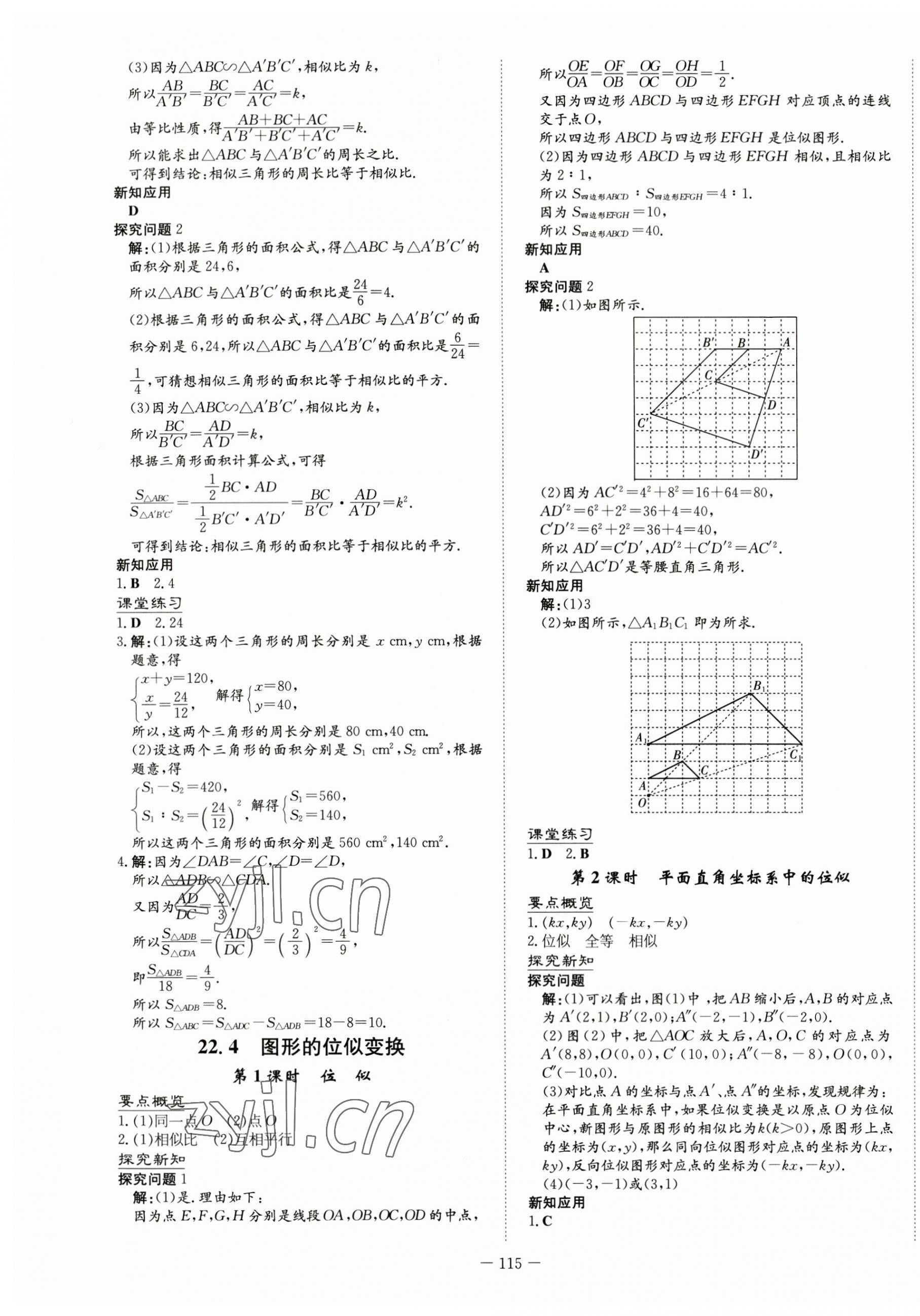 2023年初中同步学习导与练导学探究案九年级数学上册沪科版 第11页