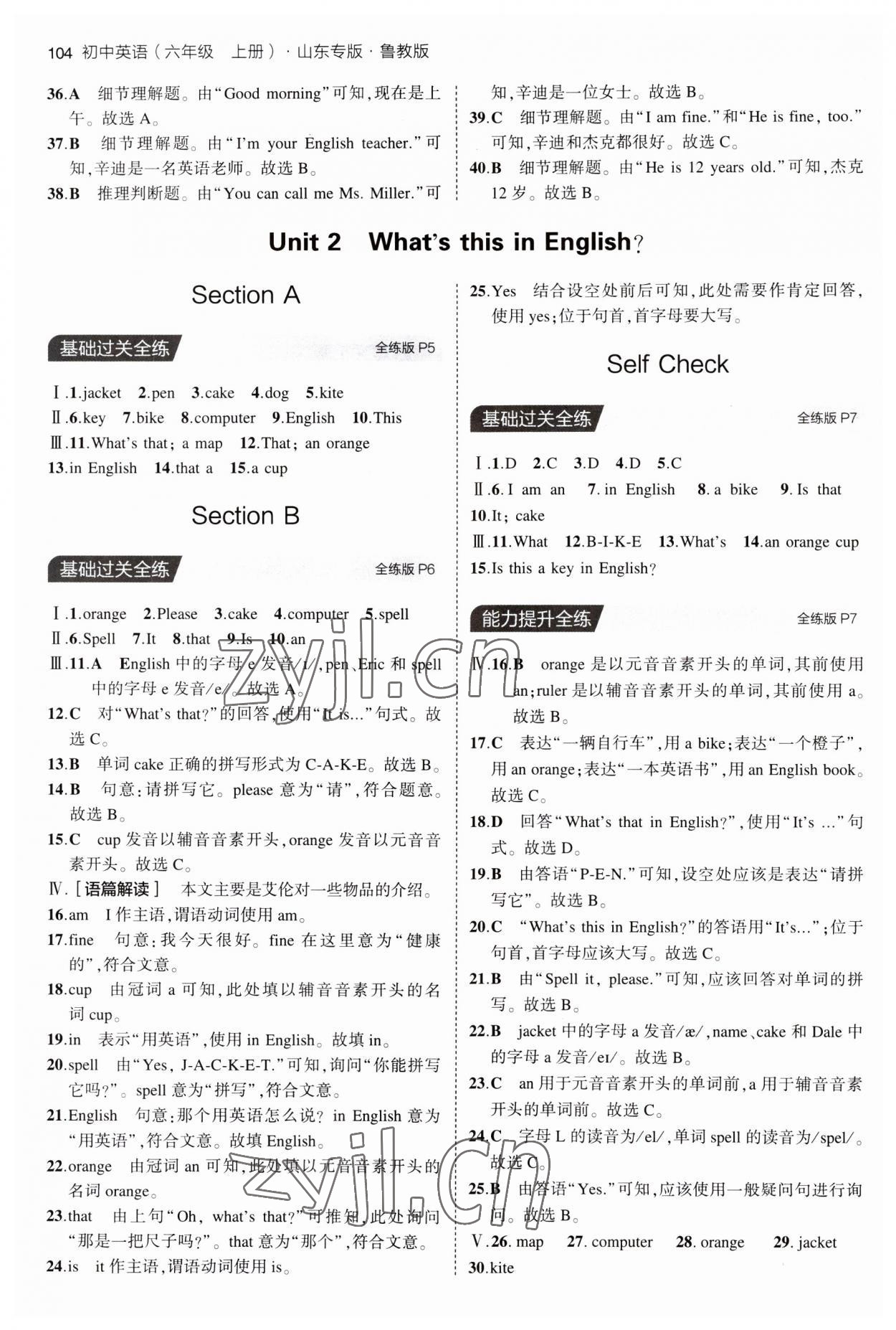 2023年5年中考3年模拟六年级英语上册鲁教版山东专版54制 第2页