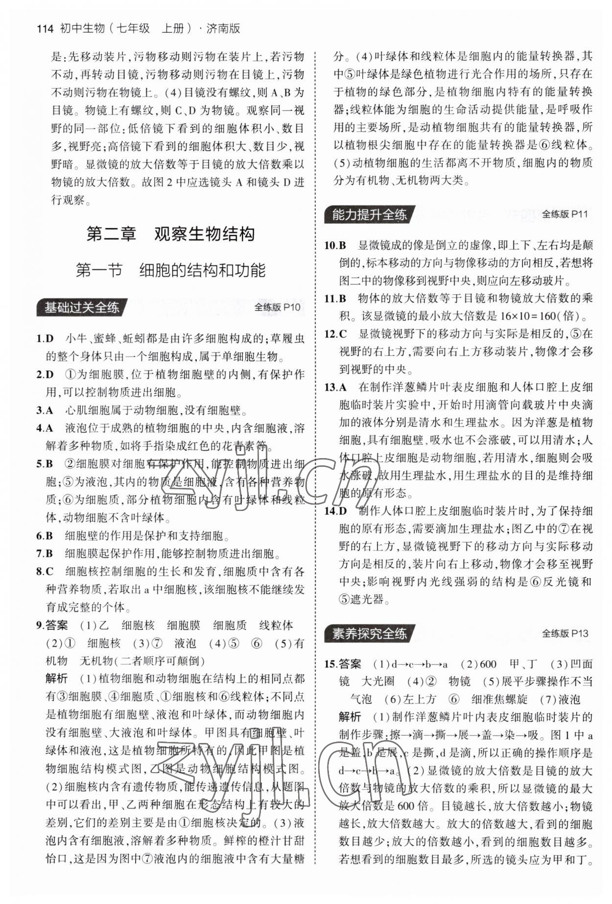 2023年5年中考3年模擬七年級(jí)生物上冊(cè)濟(jì)南版 第4頁(yè)