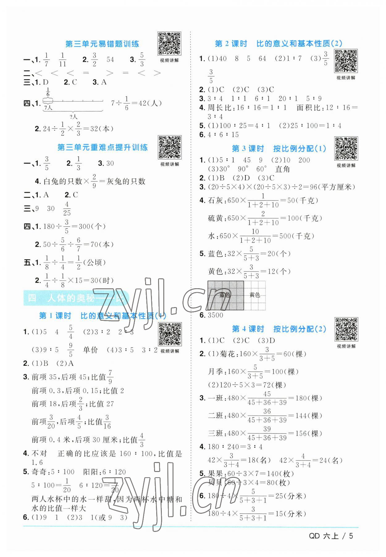 2023年阳光同学课时优化作业六年级数学上册青岛版 第5页