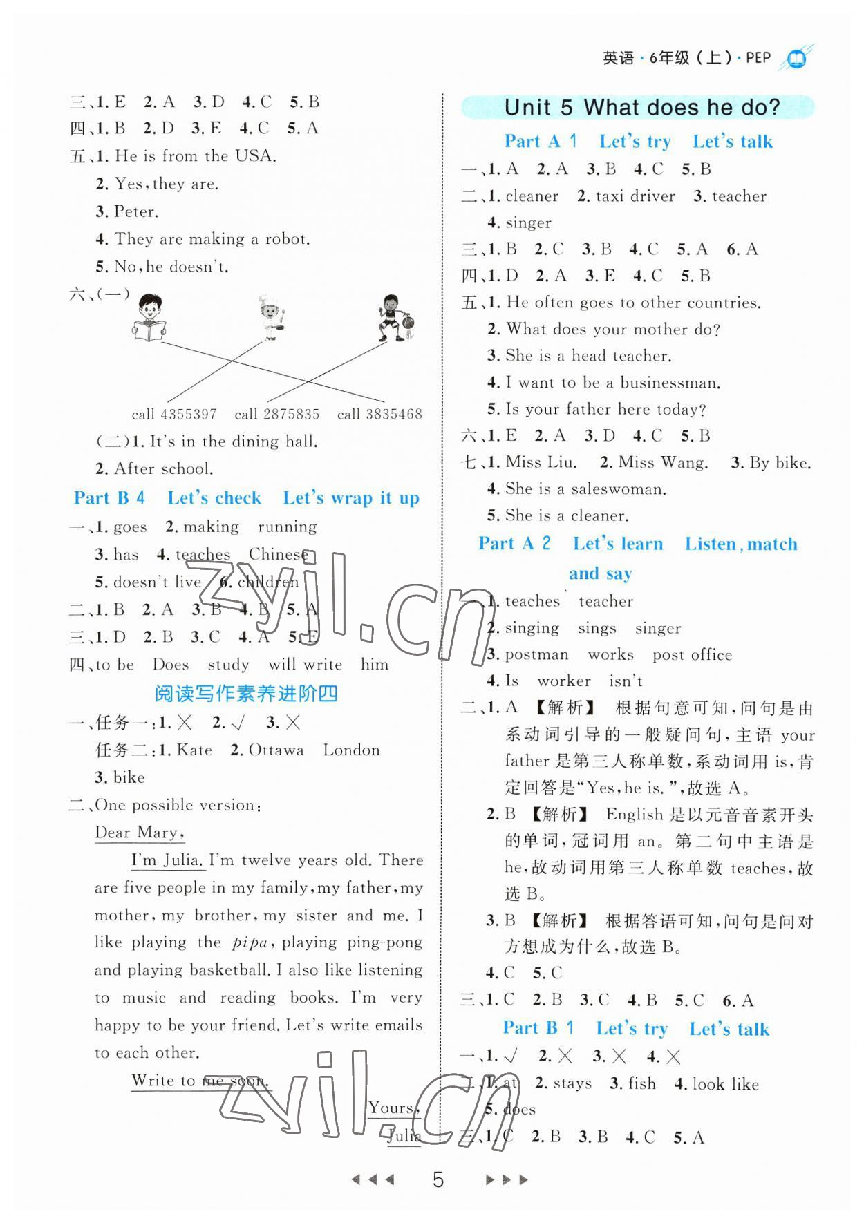 2023年细解巧练六年级英语上册人教版 参考答案第5页