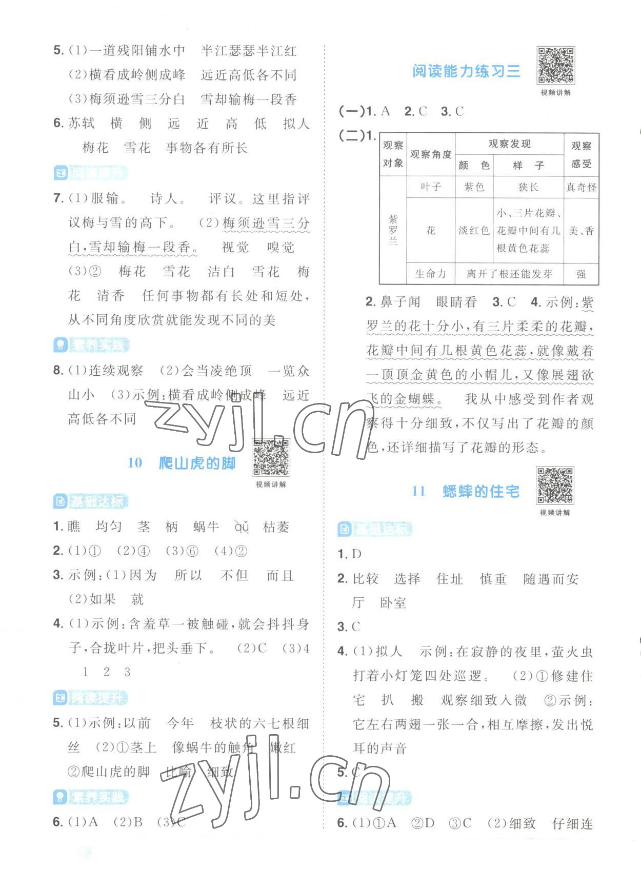 2023年陽(yáng)光同學(xué)課時(shí)優(yōu)化作業(yè)四年級(jí)語(yǔ)文上冊(cè)人教版菏澤專版 第6頁(yè)