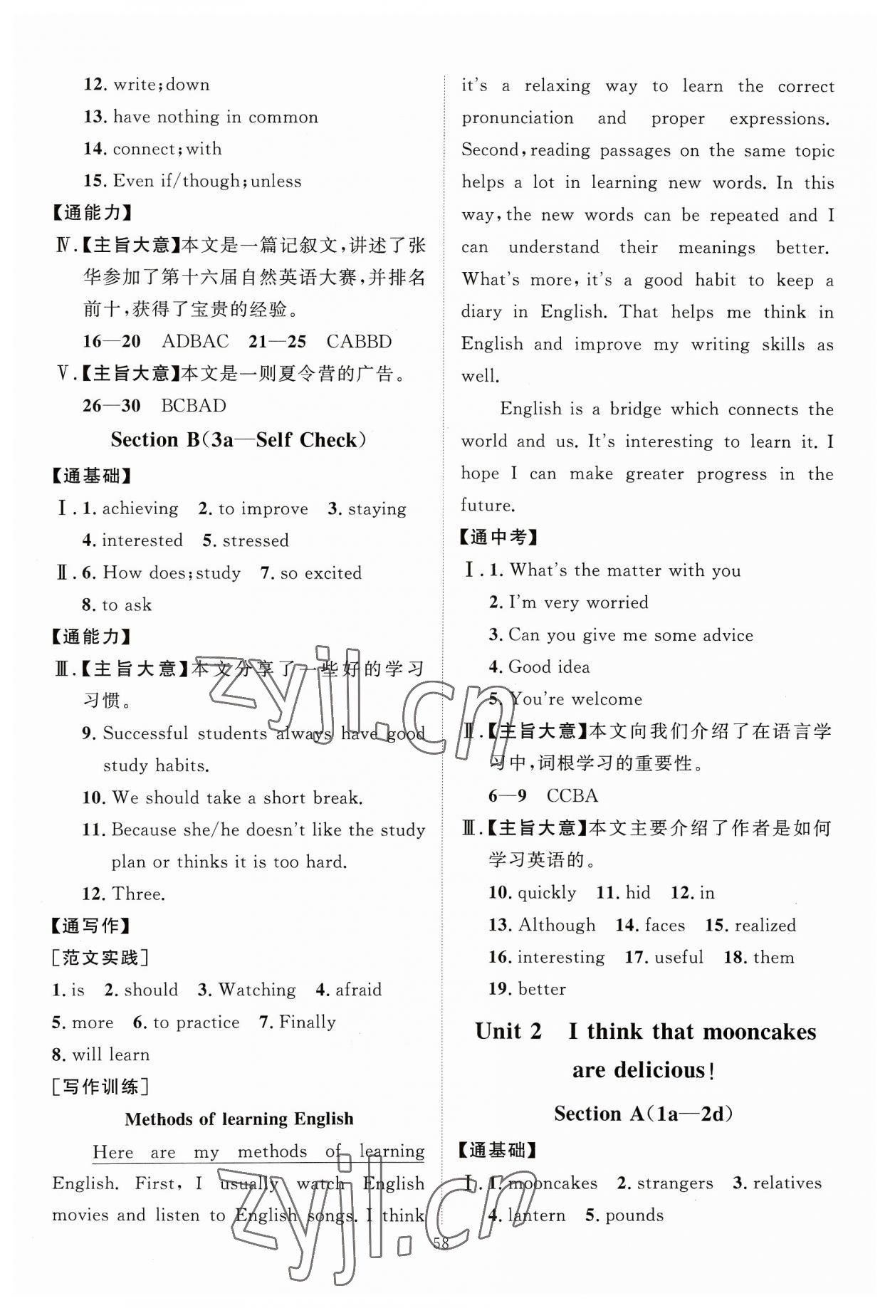 2023年優(yōu)加學(xué)案課時(shí)通九年級(jí)英語全一冊(cè)人教版 第2頁