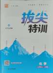 2023年拔尖特訓(xùn)九年級(jí)化學(xué)上冊(cè)人教版