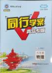 2023年同行學(xué)案九年級(jí)物理全一冊(cè)人教版青島專版