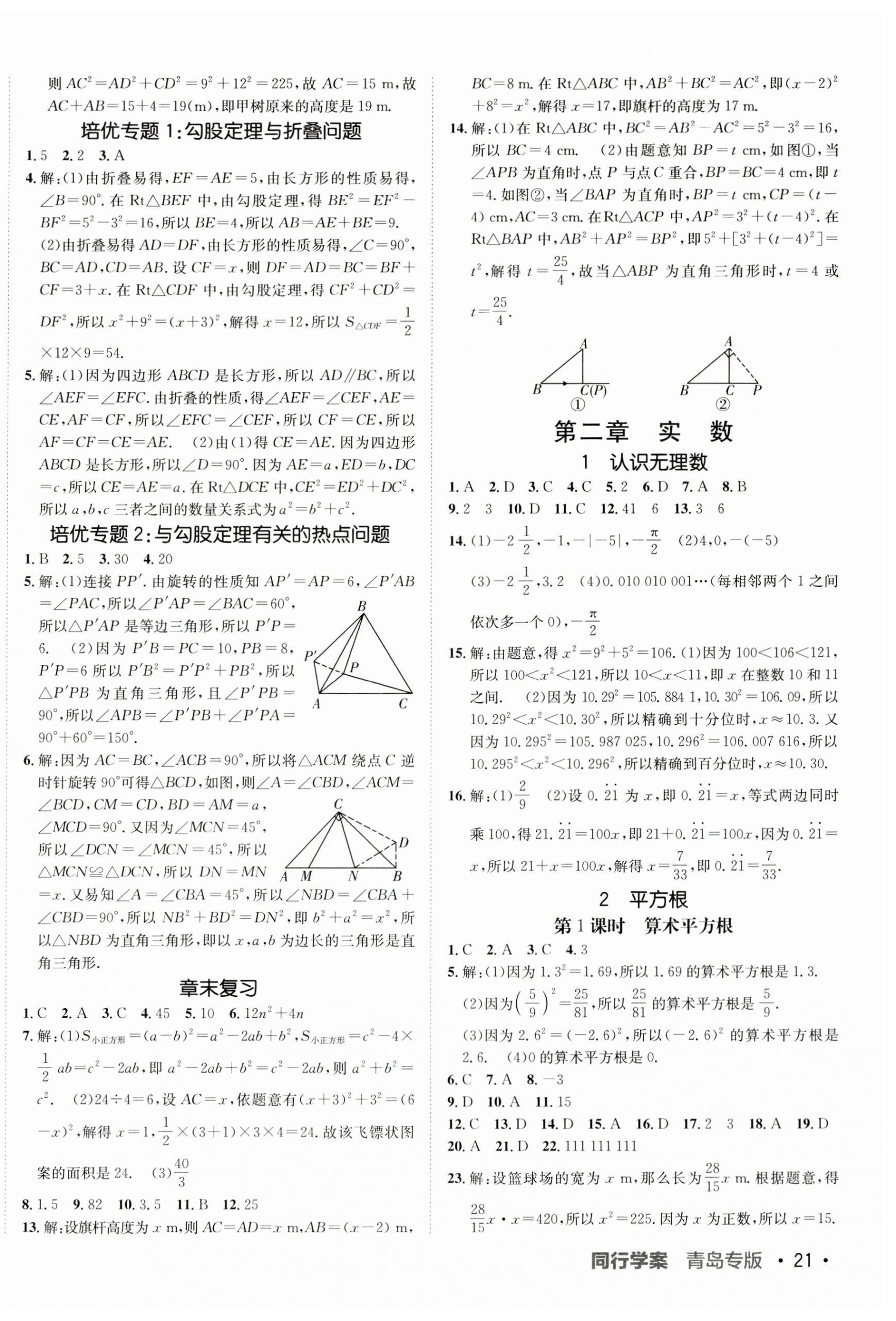 2023年同行學案學練測八年級數(shù)學上冊北師大版青島專版 第2頁