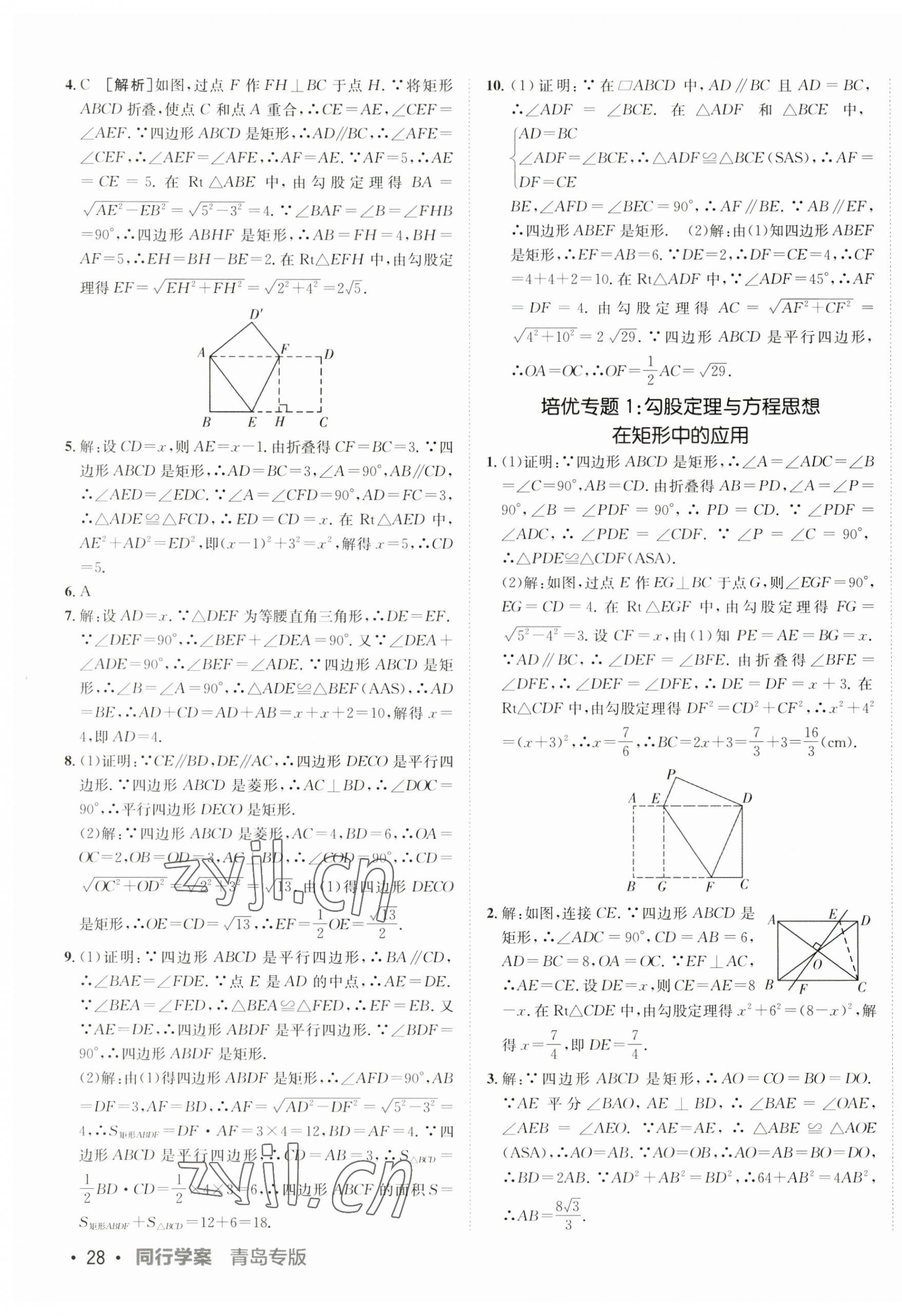 2023年同行學案學練測九年級數學全一冊北師大版青島專版 第3頁