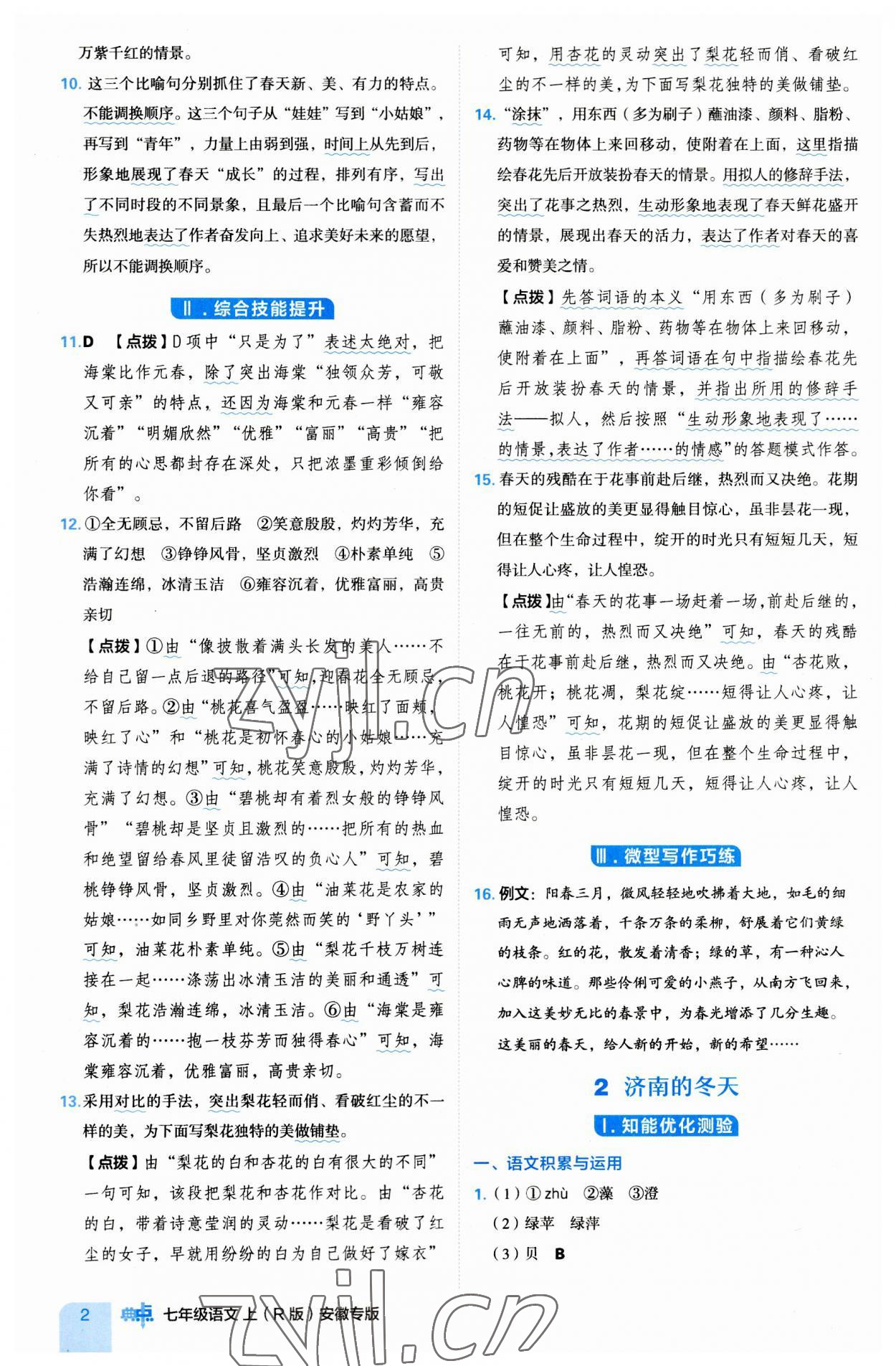 2023年綜合應(yīng)用創(chuàng)新題典中點(diǎn)七年級(jí)語文上冊(cè)人教版安徽專版 第2頁