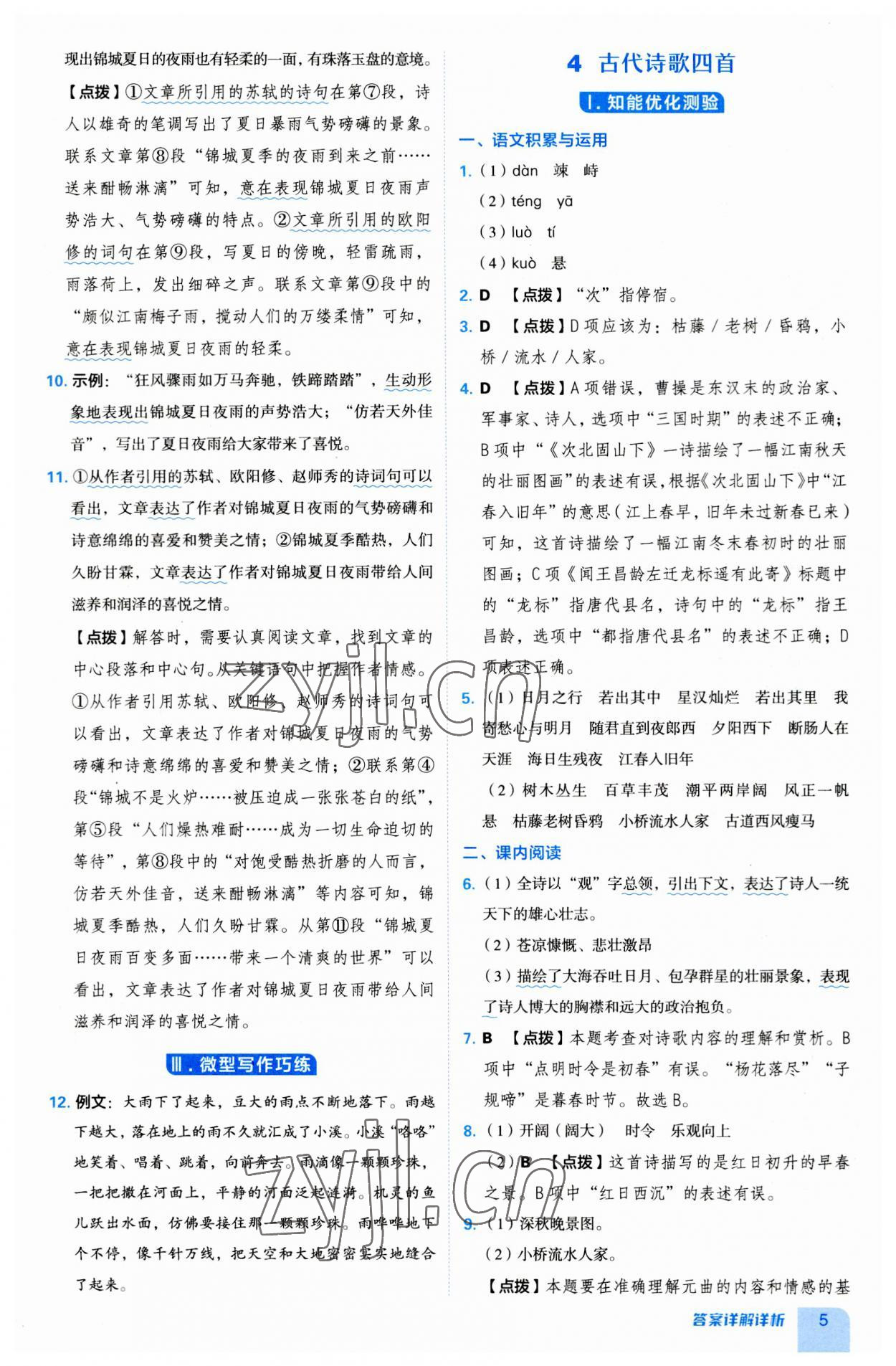 2023年綜合應用創(chuàng)新題典中點七年級語文上冊人教版安徽專版 第5頁