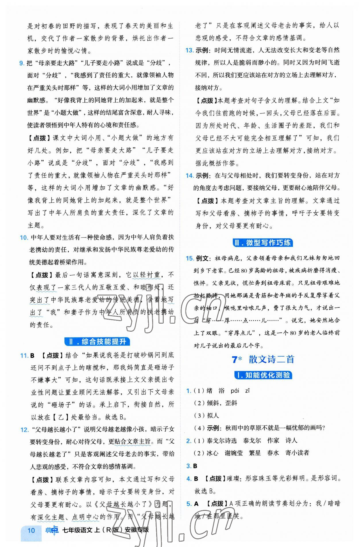 2023年綜合應(yīng)用創(chuàng)新題典中點(diǎn)七年級(jí)語(yǔ)文上冊(cè)人教版安徽專版 第10頁(yè)