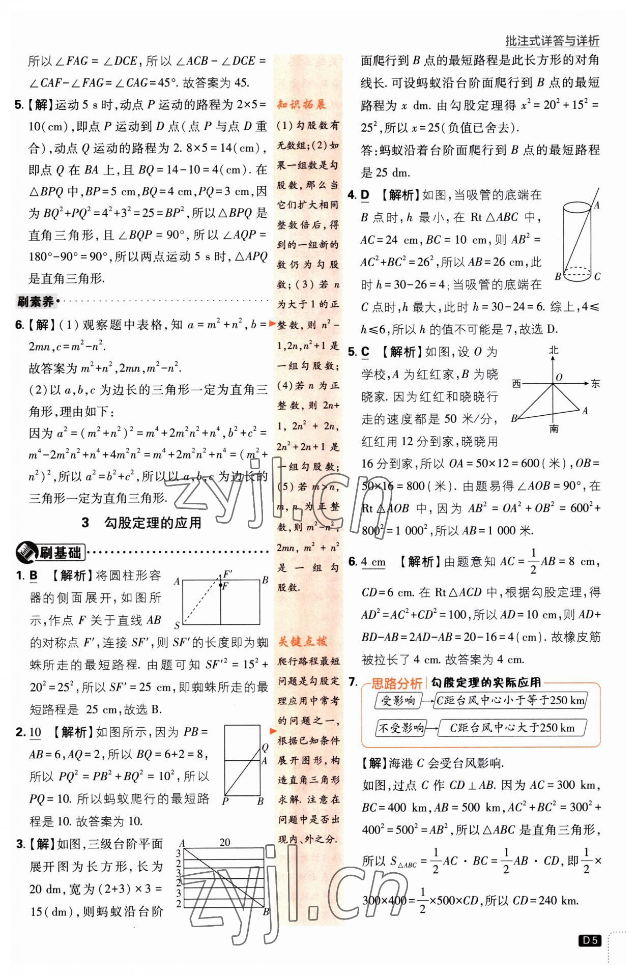 2023年初中必刷題八年級(jí)數(shù)學(xué)上冊(cè)北師大版 第5頁(yè)