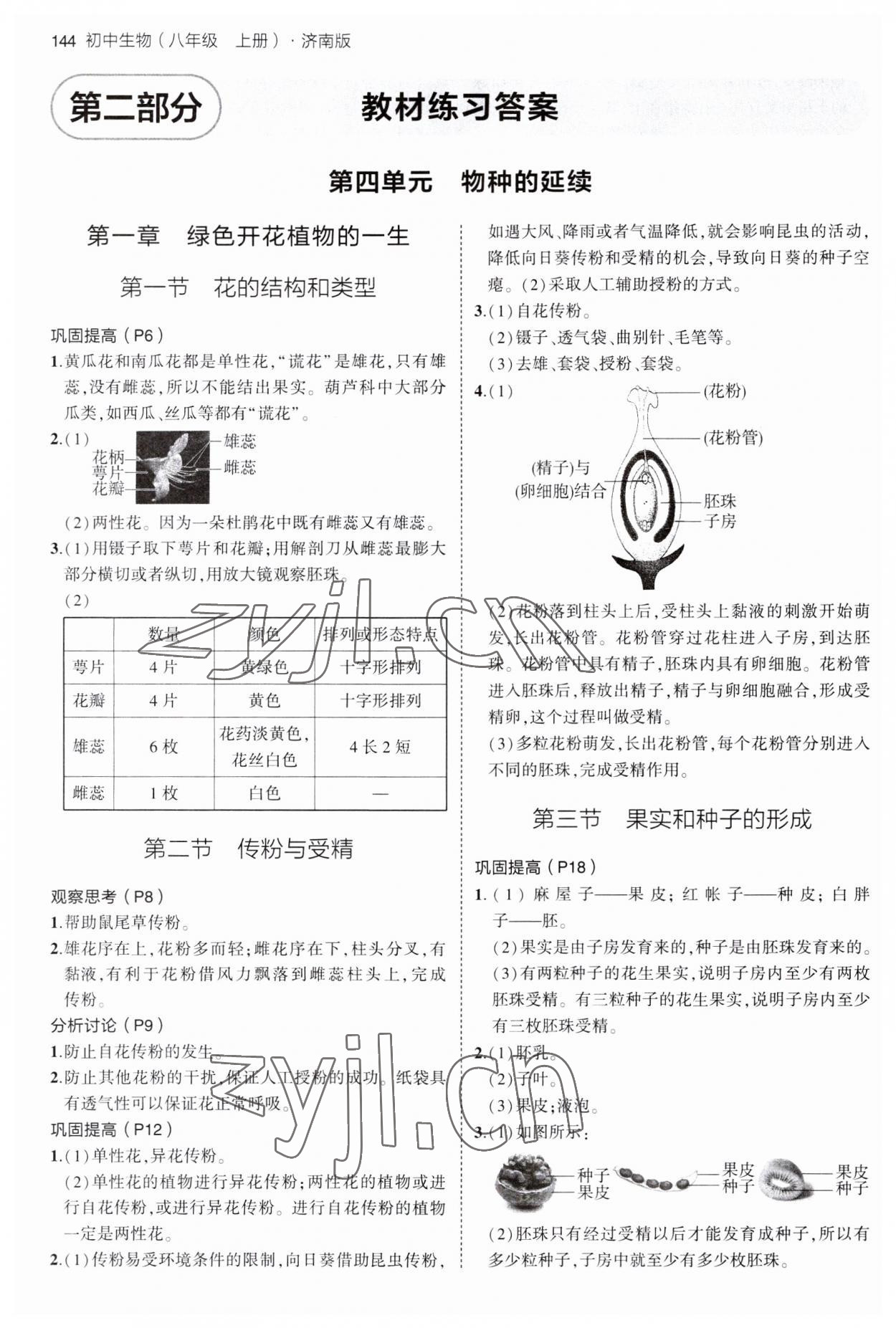 2023年教材課本八年級生物上冊濟南版 參考答案第1頁