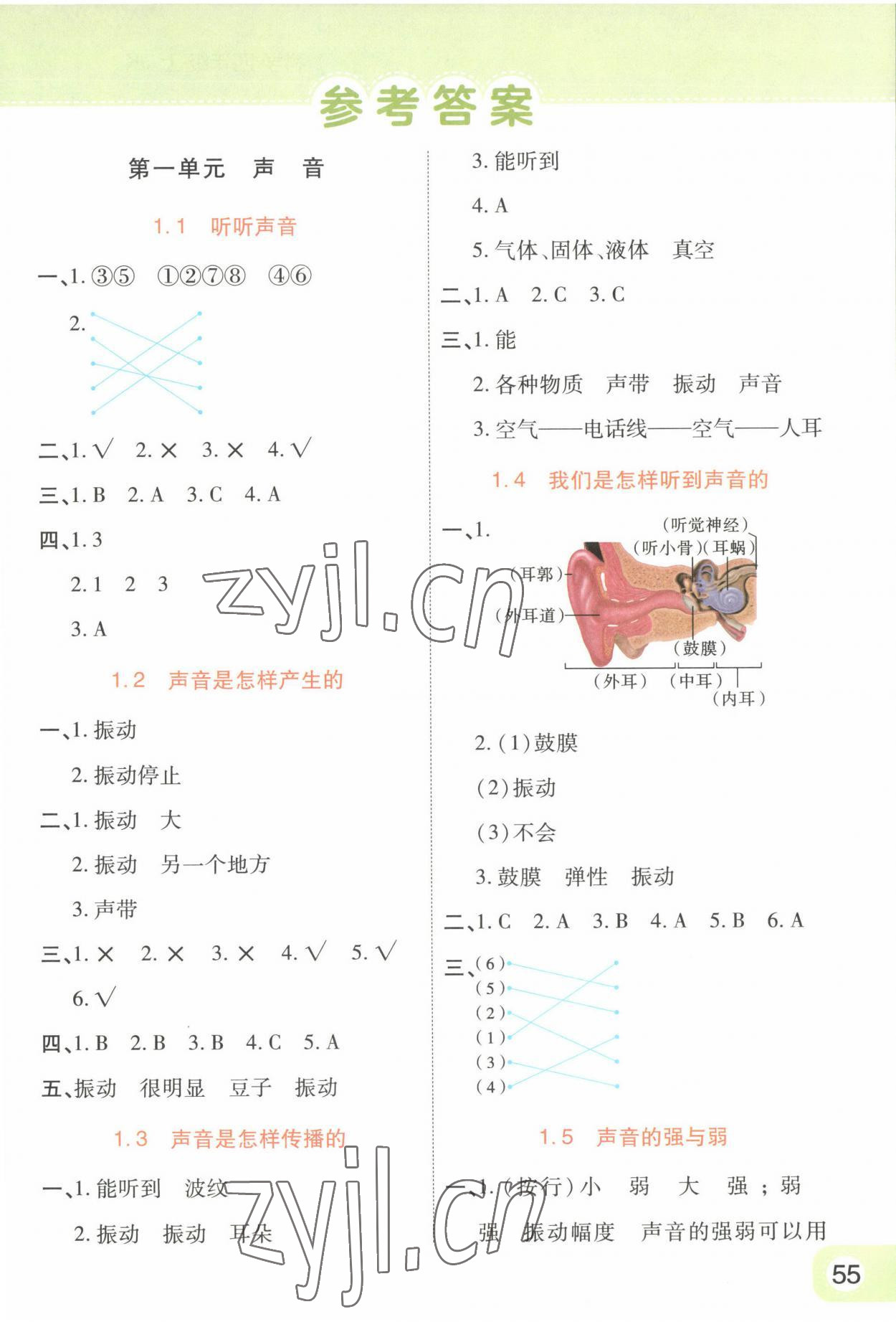 2023年黄冈同步训练四年级科学上册教科版 参考答案第1页