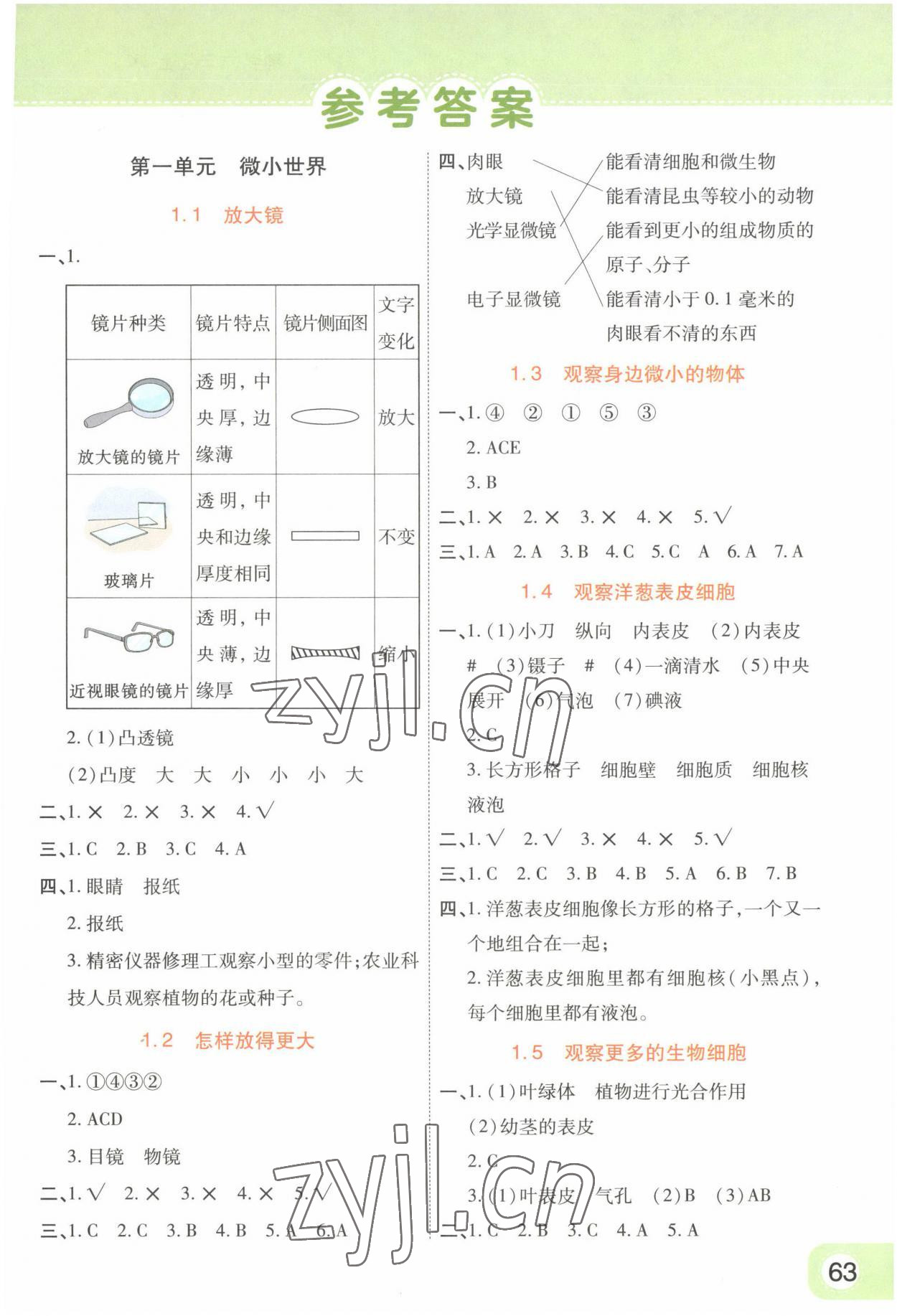 2023年黃岡同步訓(xùn)練六年級科學(xué)上冊教科版 參考答案第1頁