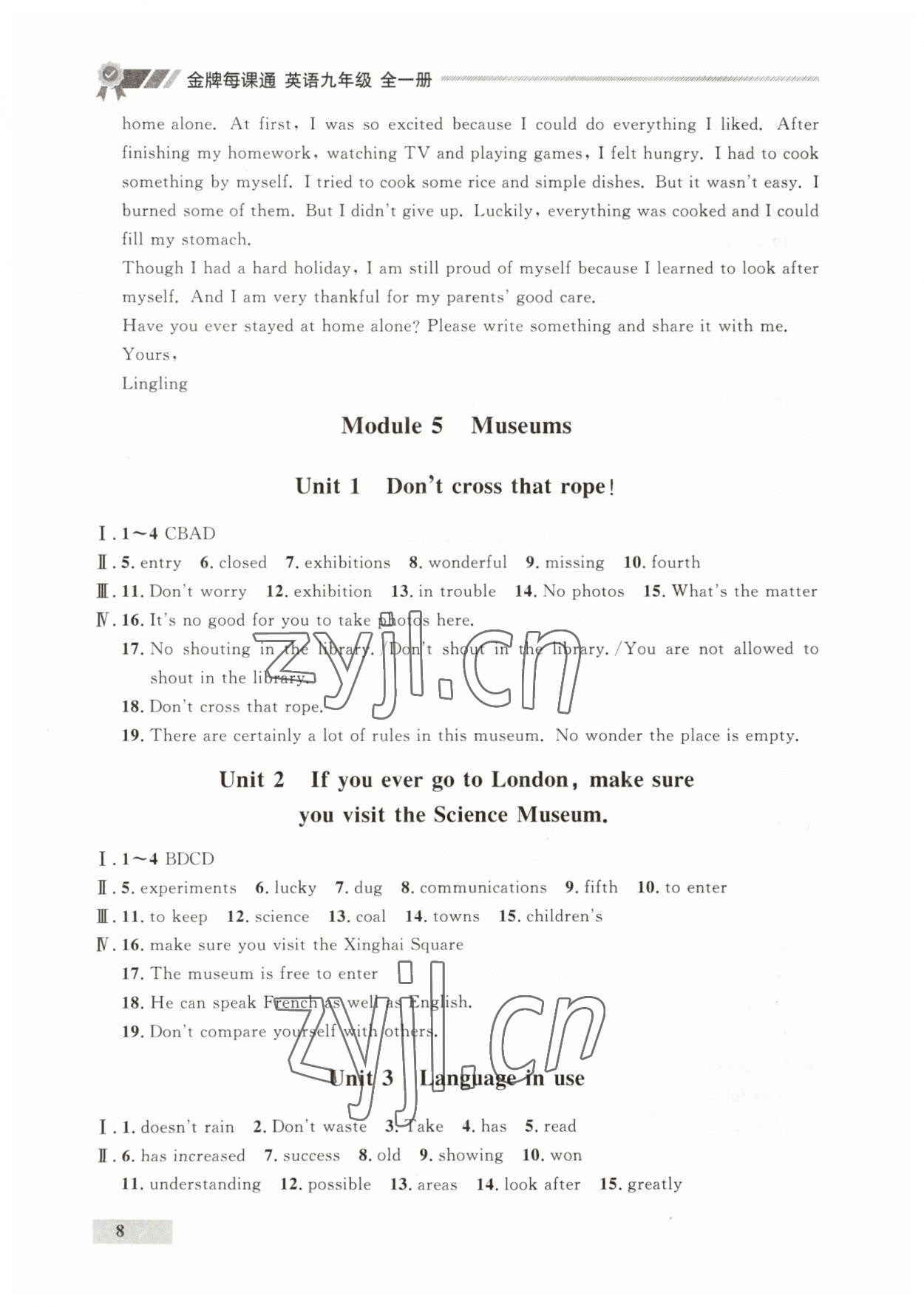 2023年點(diǎn)石成金金牌每課通九年級英語全一冊外研版遼寧專版 第8頁