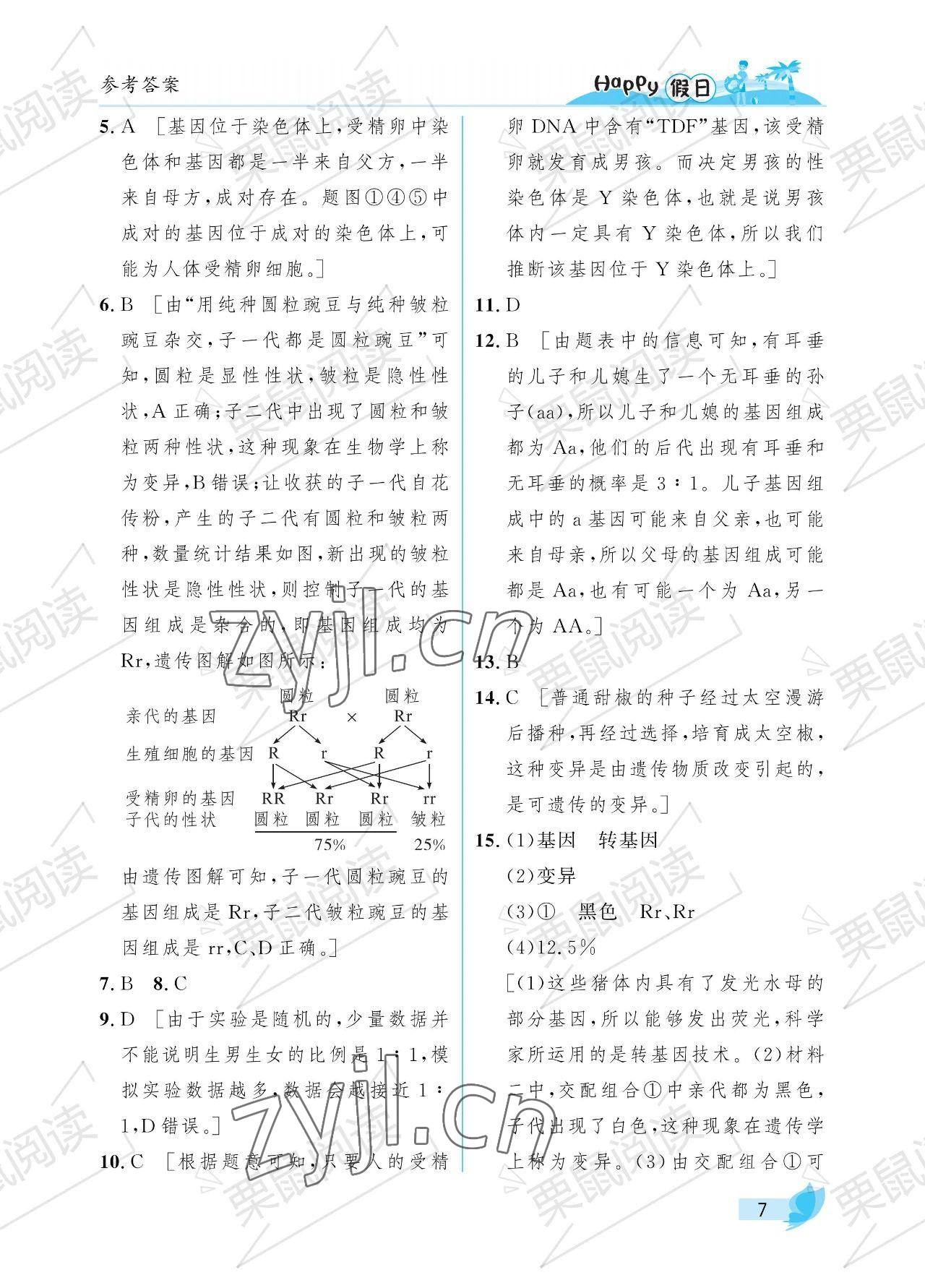 2023年暑假Happy假日七年级综合54制鸡西专用 参考答案第7页