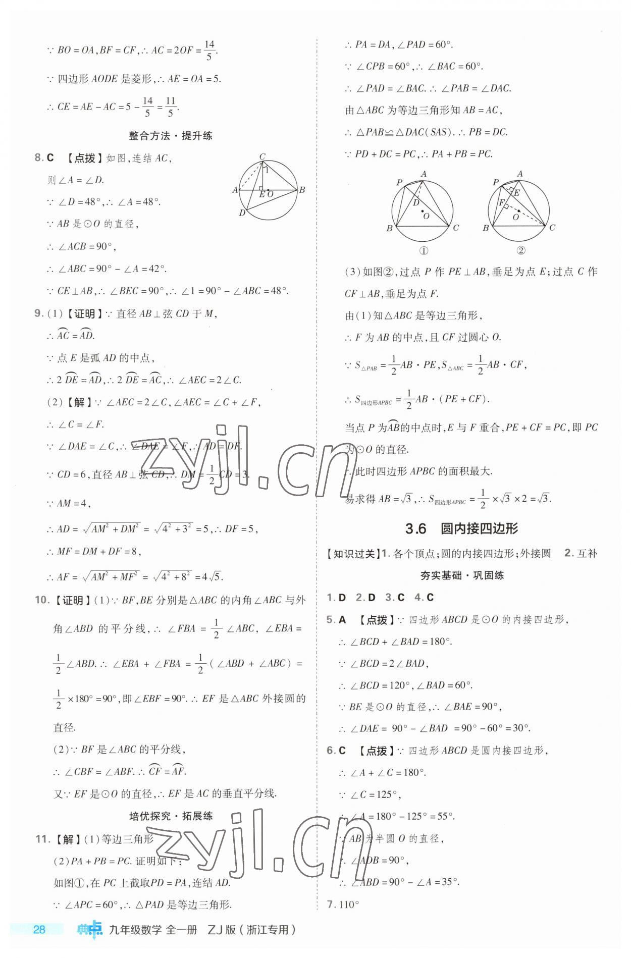 2023年综合应用创新题典中点九年级数学全一册浙教版浙江专版 第28页