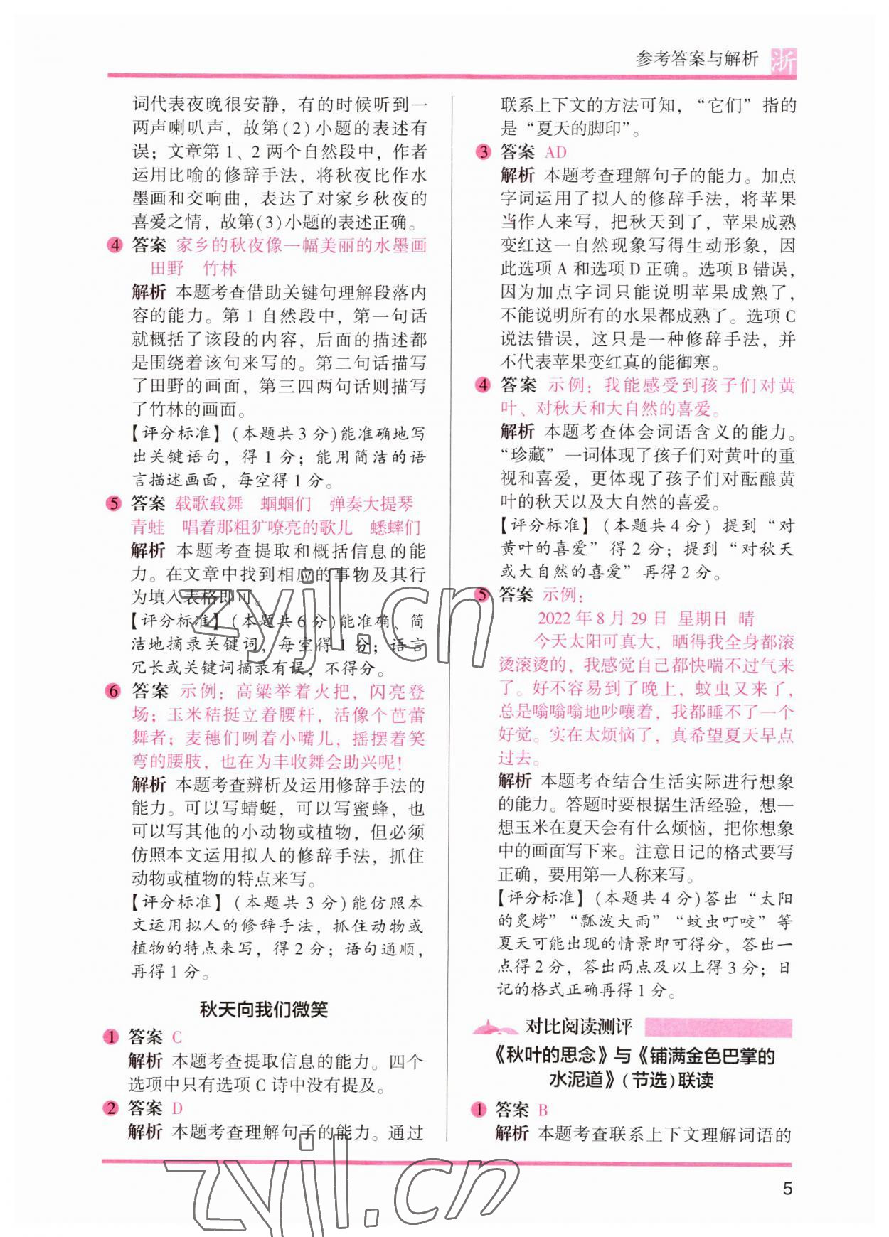 2023年木头马阅读力测评三年级语文人教版浙江专版&nbsp;第5页