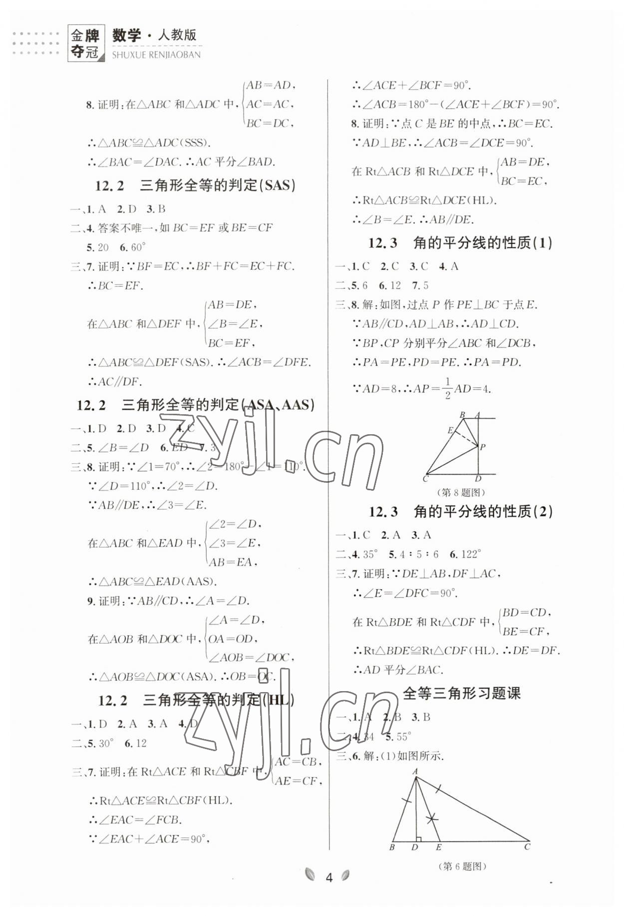 2023年點(diǎn)石成金金牌奪冠八年級(jí)數(shù)學(xué)上冊(cè)人教版遼寧專版 參考答案第4頁(yè)