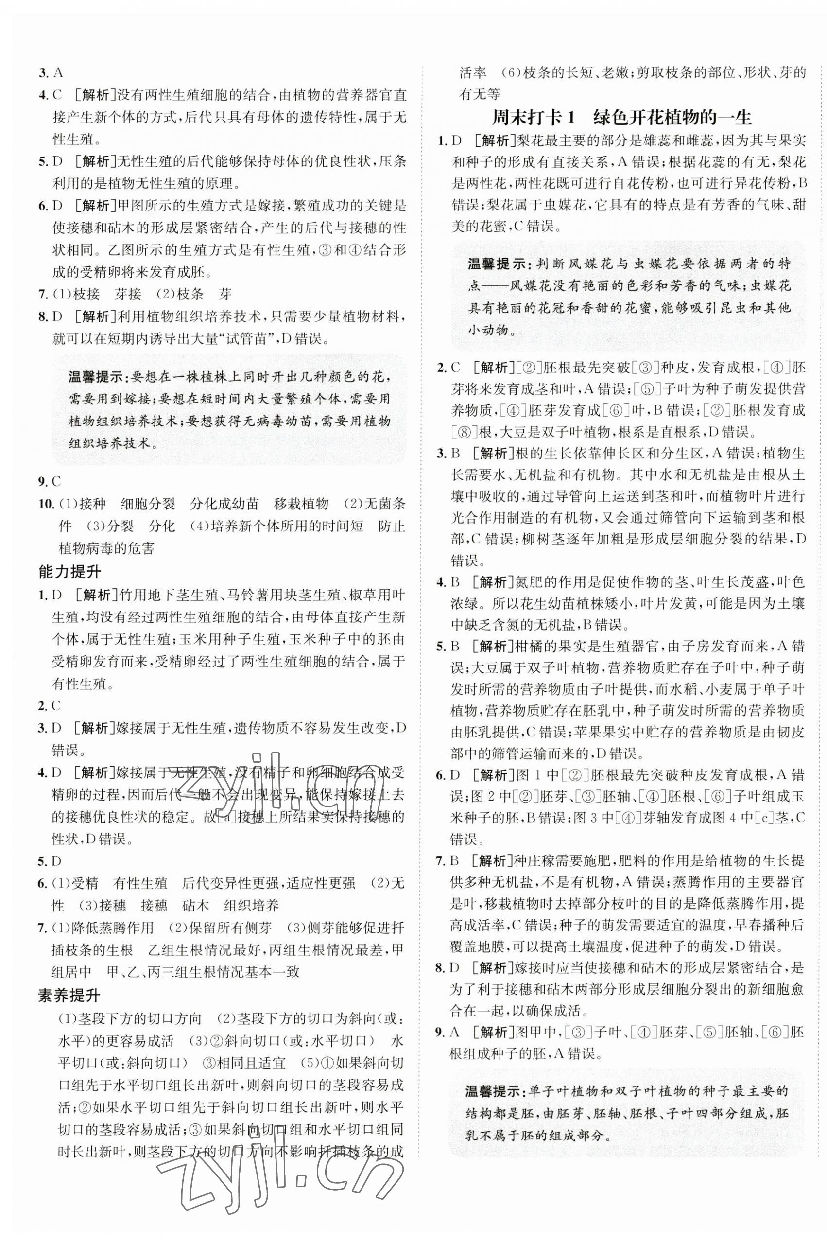 2023年同行學(xué)案學(xué)練測八年級(jí)生物上冊濟(jì)南版 第5頁