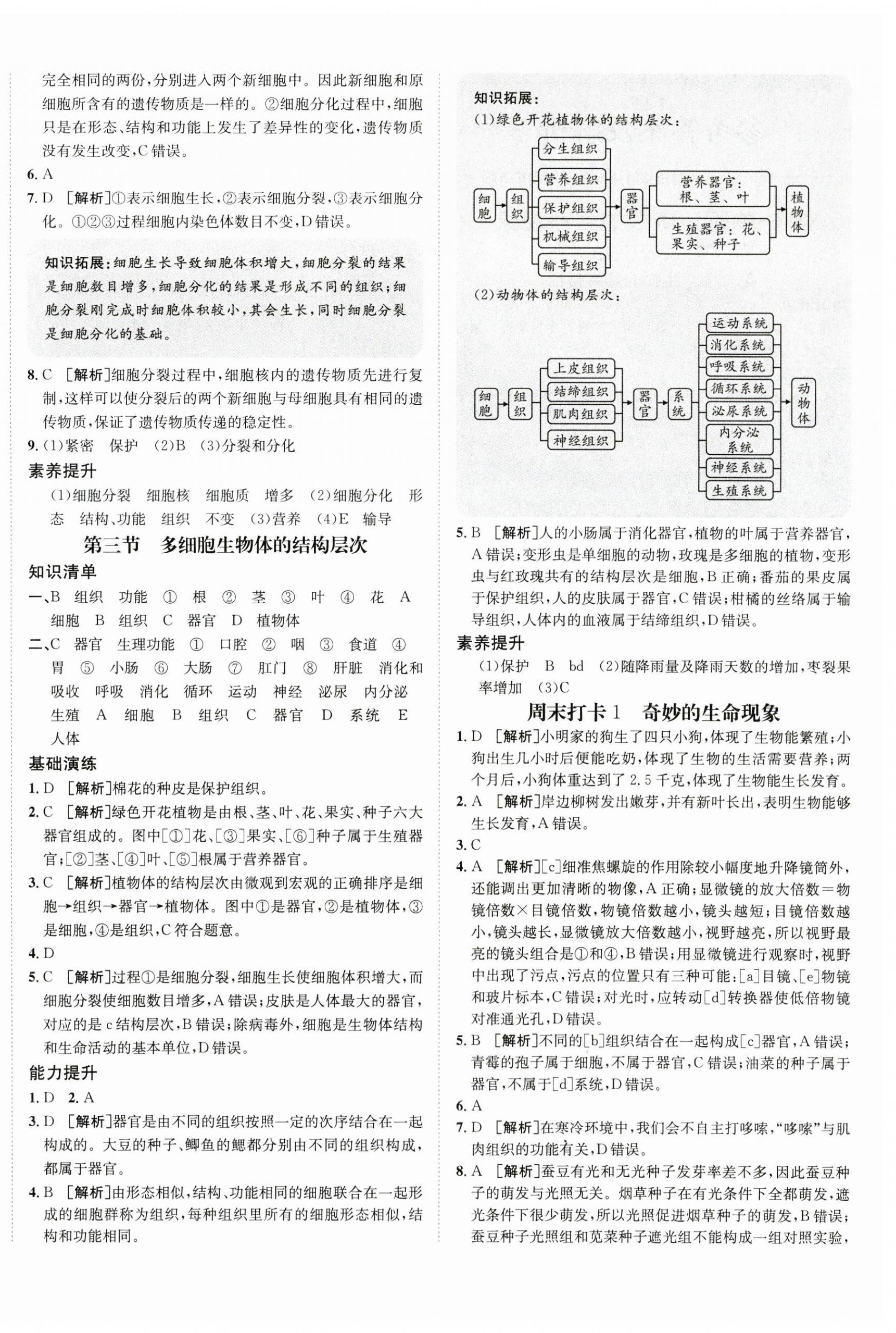 2023年同行學案學練測七年級生物上冊濟南版 第4頁