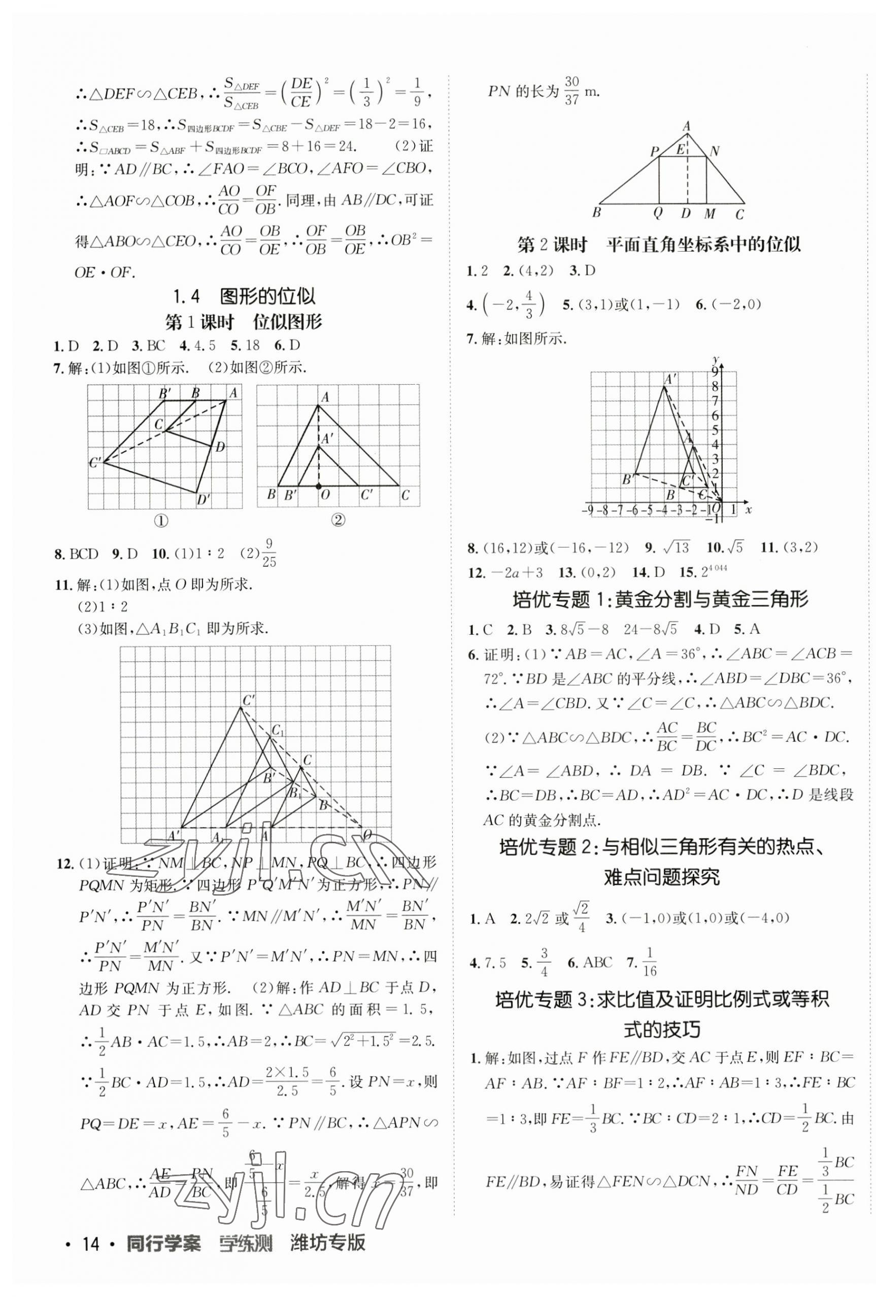 2023年同行學(xué)案學(xué)練測九年級數(shù)學(xué)上冊青島版 第3頁