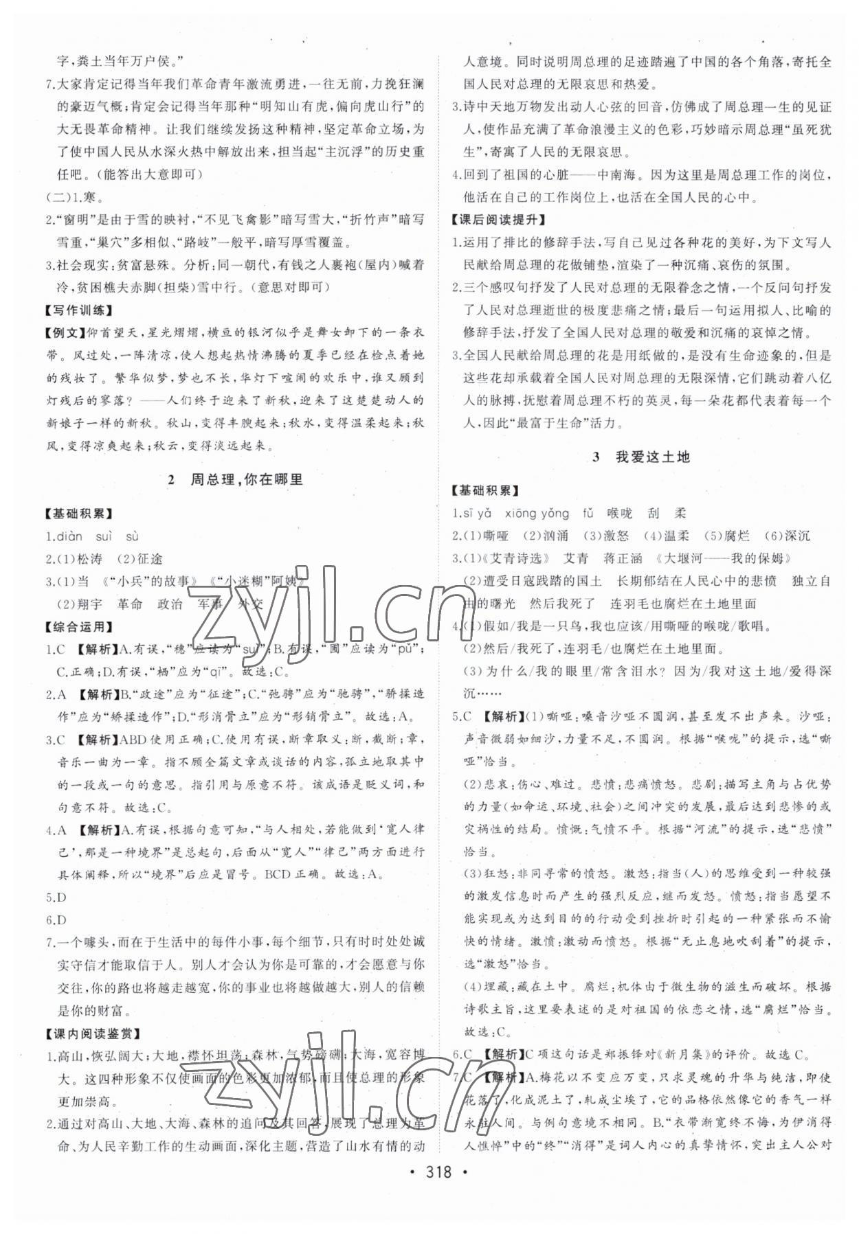 2023年初中新課標(biāo)名師學(xué)案智慧大課堂九年級語文上冊人教版 第2頁