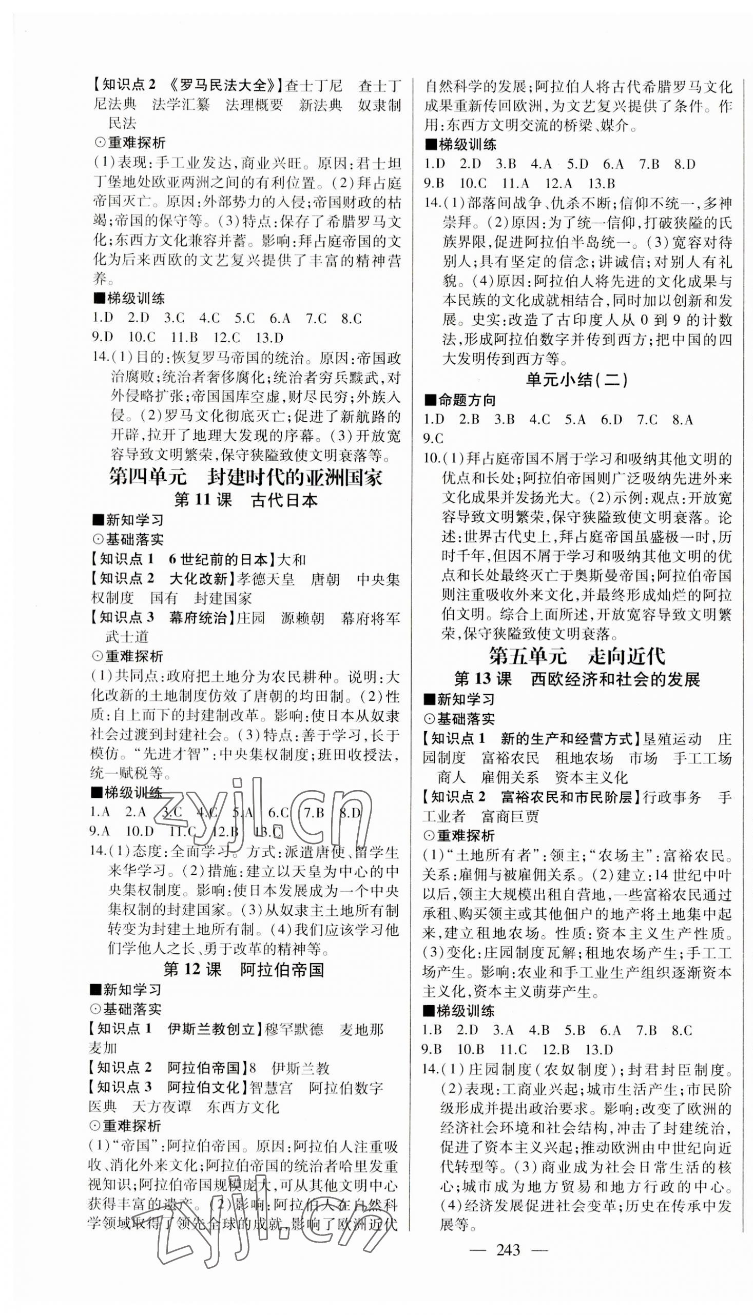 2023年初中新課標(biāo)名師學(xué)案智慧大課堂九年級(jí)歷史上冊(cè)人教版 第3頁