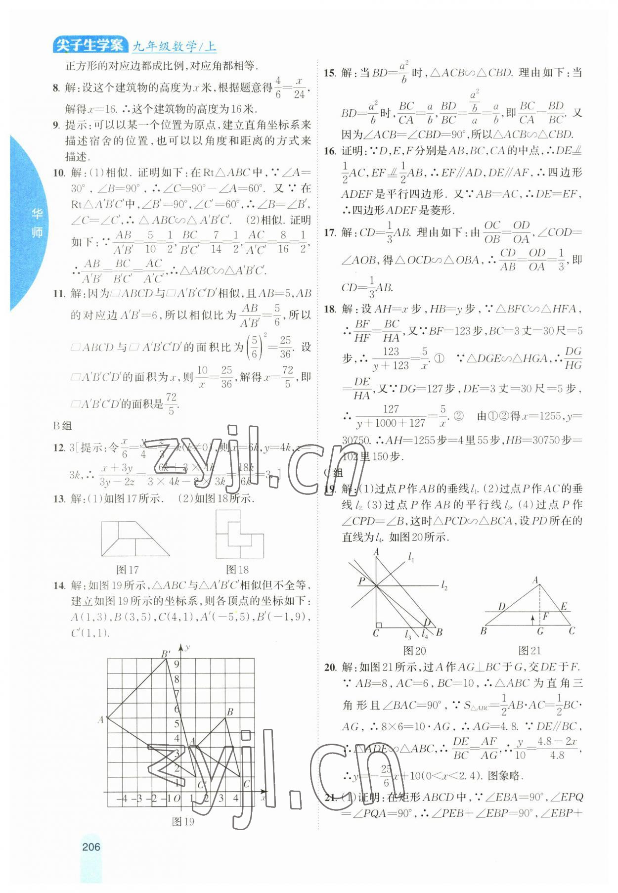 2023年尖子生学案九年级数学上册华师大版 第14页