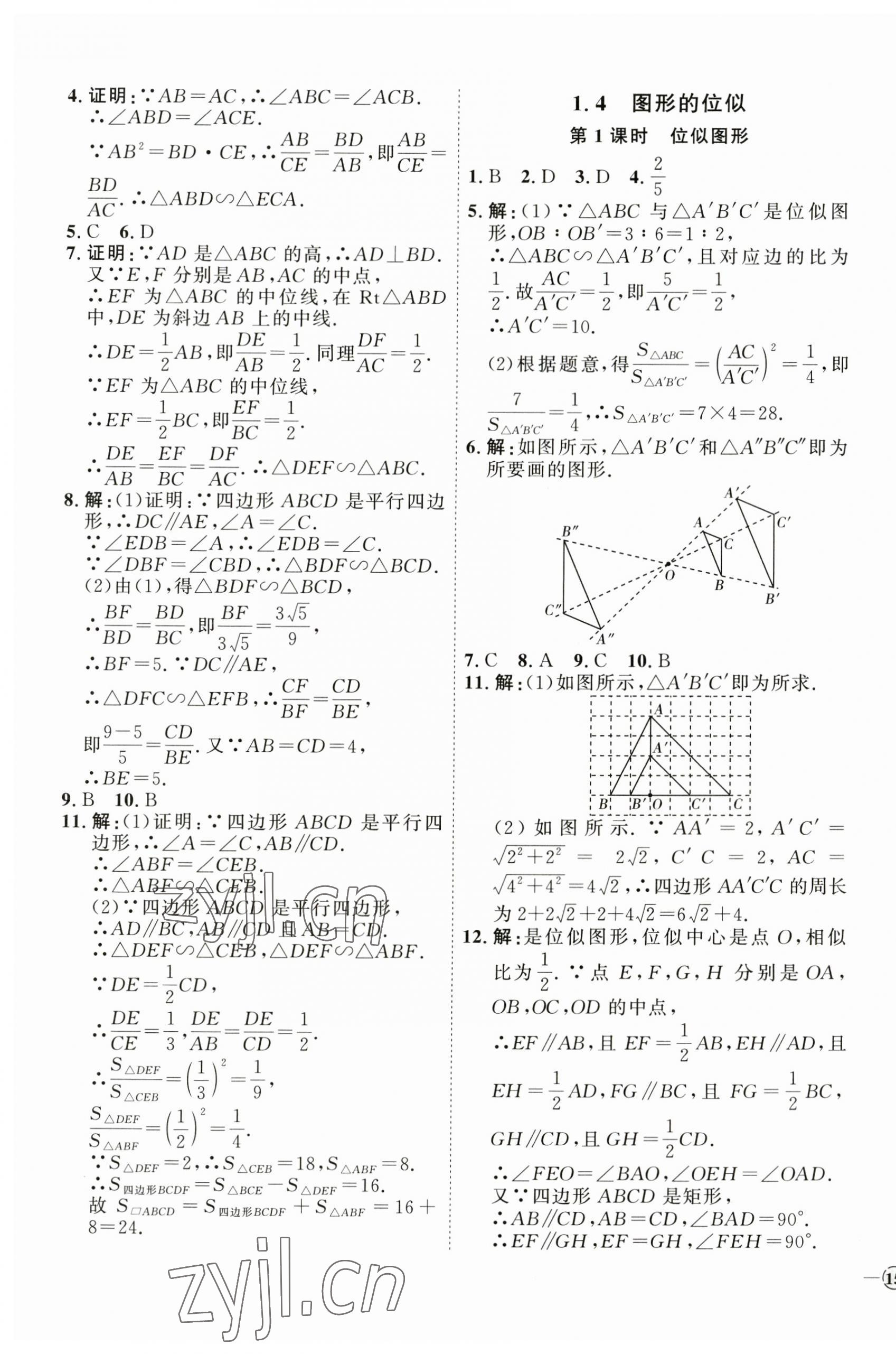 2023年優(yōu)加學(xué)案課時(shí)通九年級(jí)數(shù)學(xué)上冊(cè)青島版 參考答案第5頁(yè)