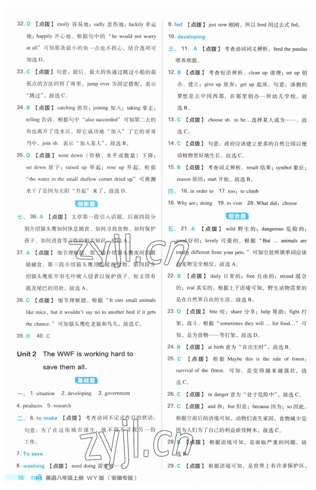 2023年综合应用创新题典中点八年级英语上册外研版安徽专版 第16页