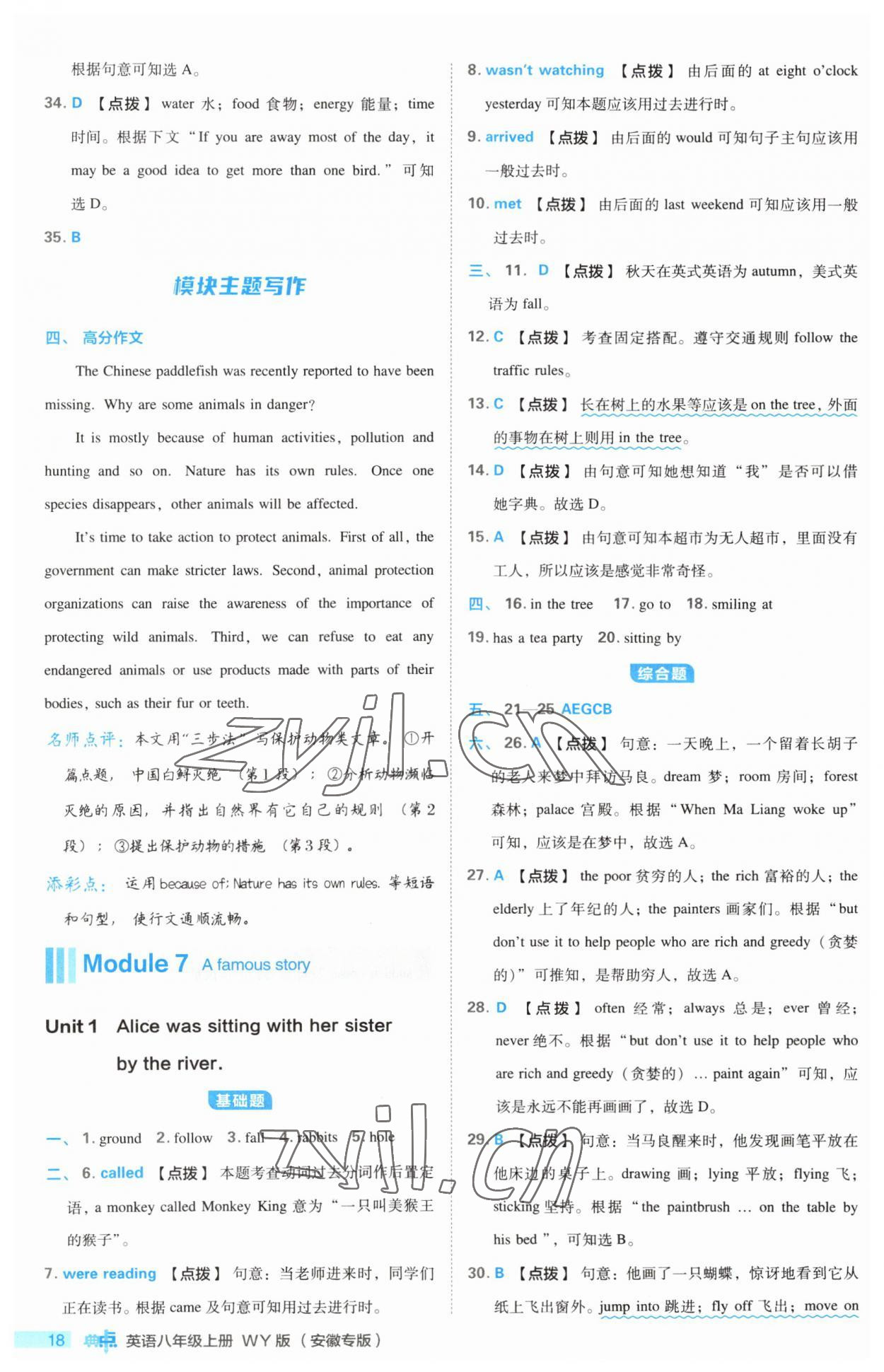 2023年綜合應用創(chuàng)新題典中點八年級英語上冊外研版安徽專版 第18頁