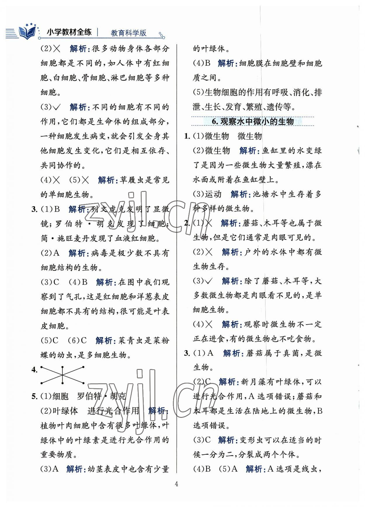 2023年教材全練六年級科學(xué)上冊教科版 參考答案第4頁