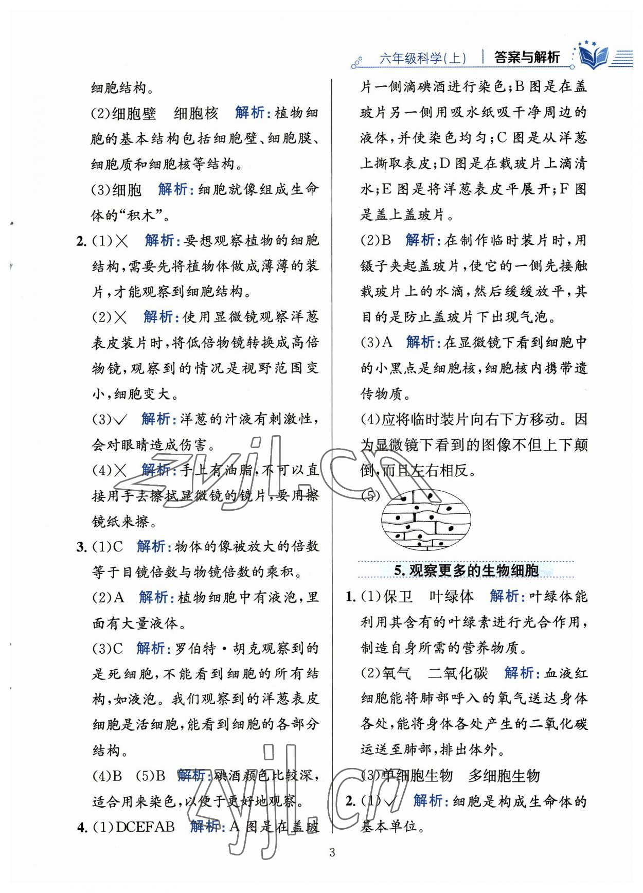 2023年教材全練六年級科學上冊教科版 參考答案第3頁