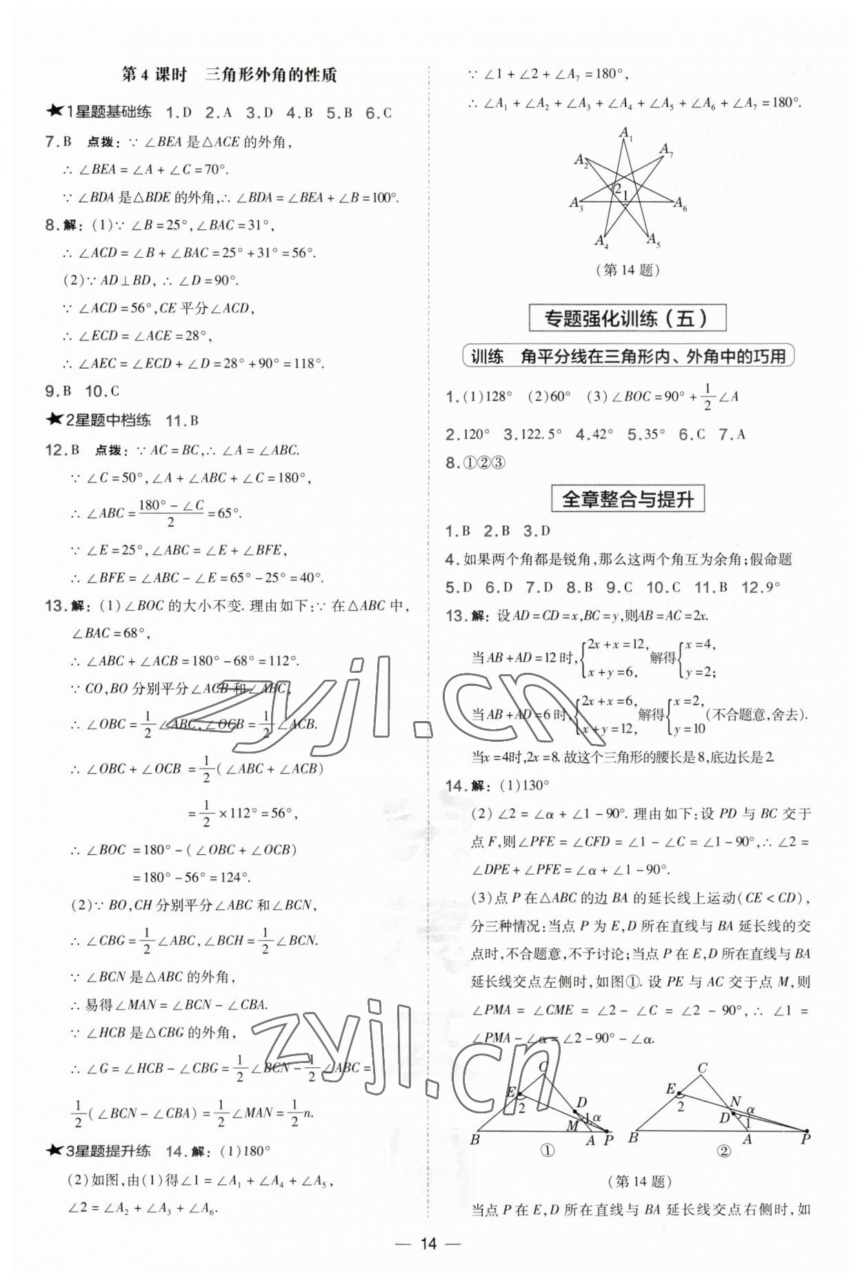 2023年點撥訓(xùn)練八年級數(shù)學(xué)上冊滬科版安徽專版 第14頁