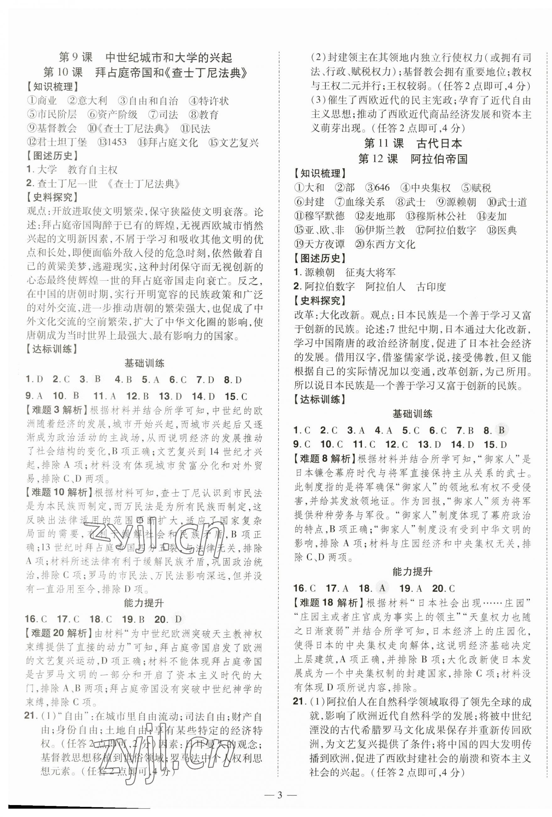 2023年同步?jīng)_刺九年級歷史全一冊人教版 第3頁