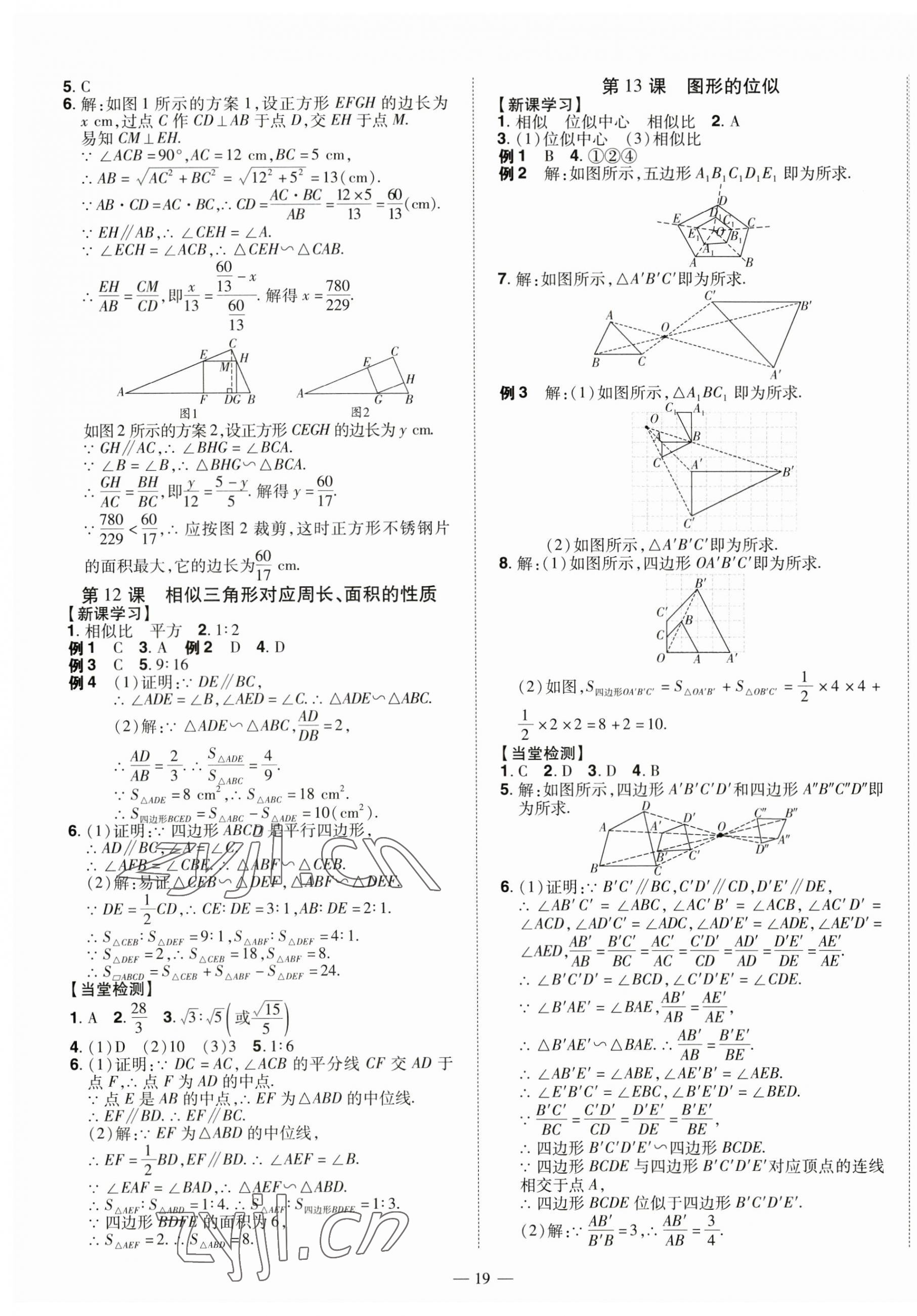 2023年同步?jīng)_刺九年級數(shù)學(xué)全一冊北師大版 第19頁