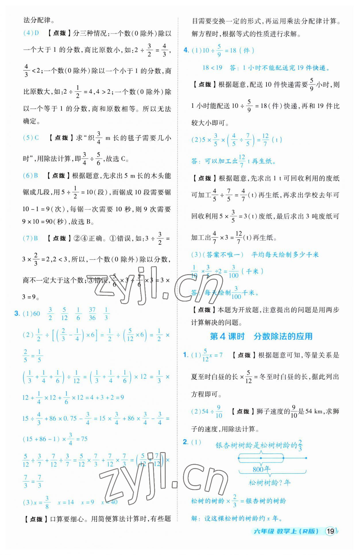 2023年綜合應用創(chuàng)新題典中點六年級數學上冊人教版 第19頁