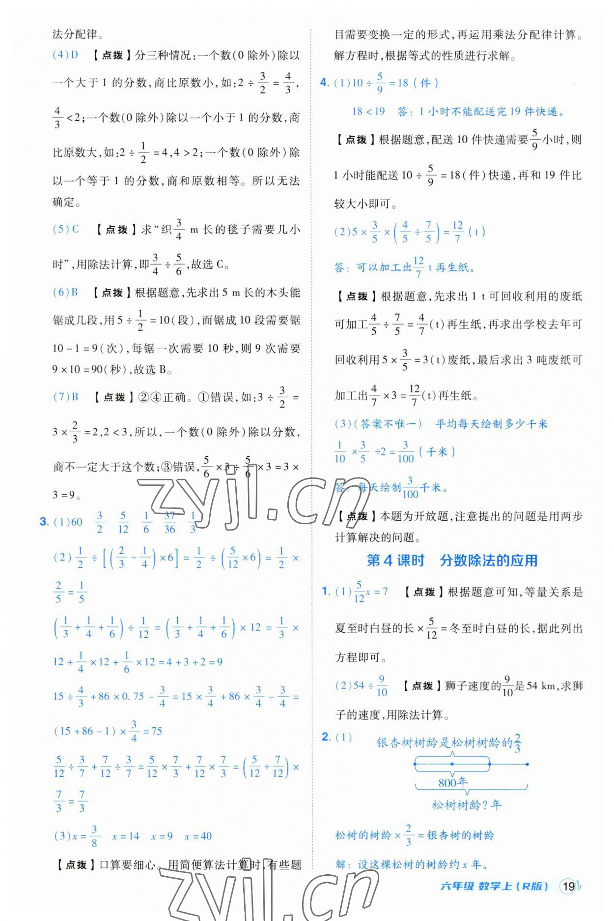 2023年綜合應(yīng)用創(chuàng)新題典中點(diǎn)六年級數(shù)學(xué)上冊人教版浙江專版 第19頁