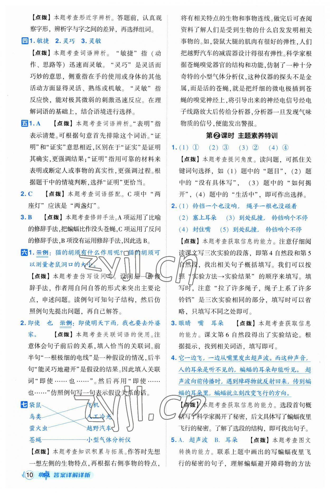 2023年綜合應(yīng)用創(chuàng)新題典中點四年級語文上冊人教版浙江專版 第10頁