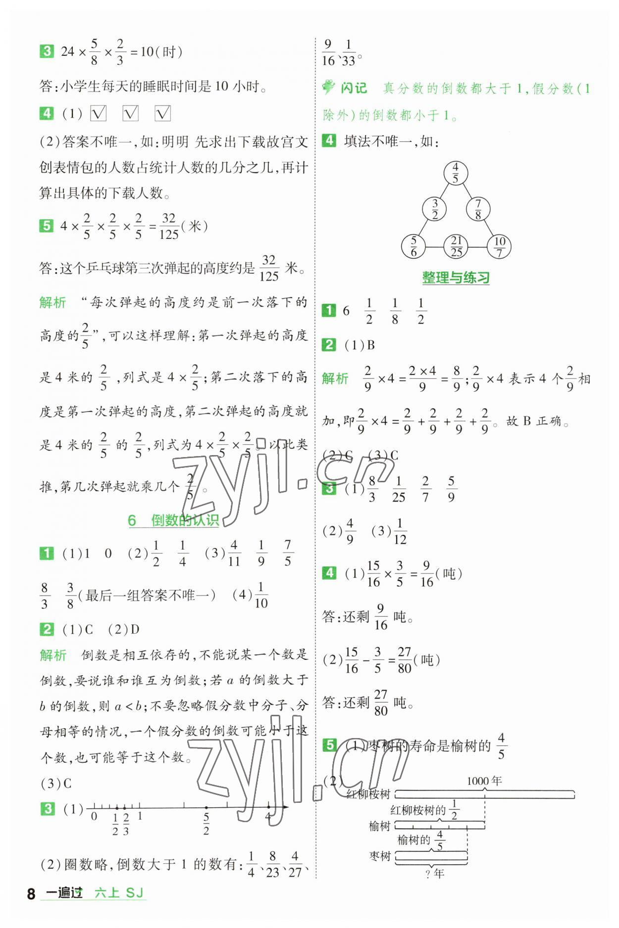 2023年一遍過六年級數(shù)學(xué)上冊蘇教版 參考答案第8頁