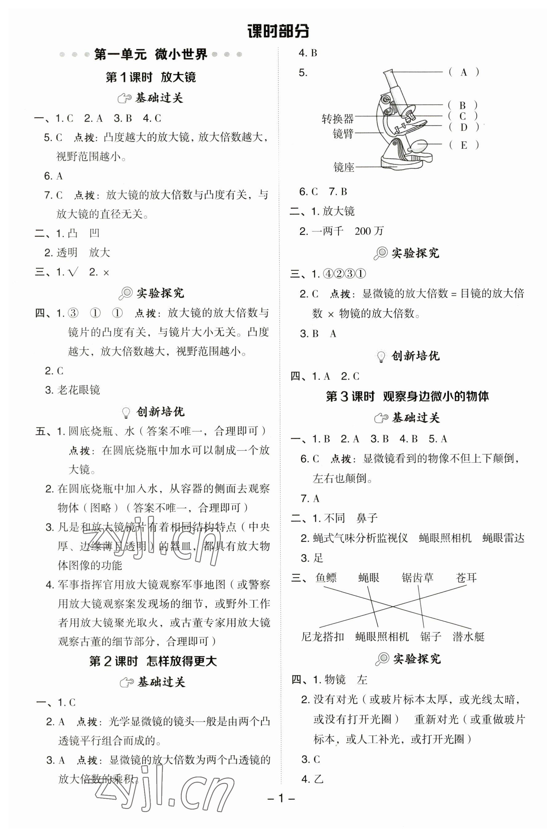 2023年綜合應用創(chuàng)新題典中點四年級科學上冊教科版 第1頁