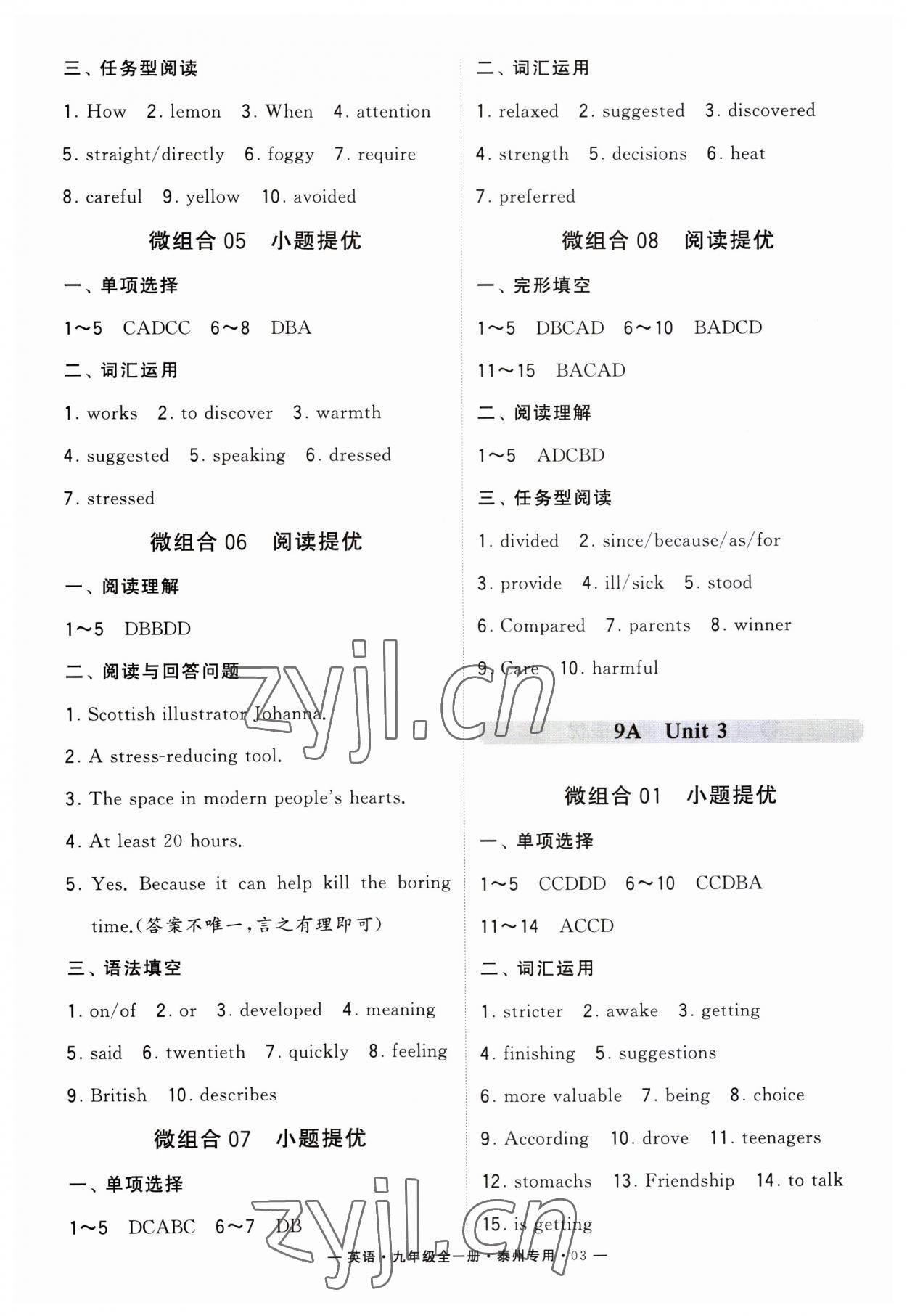 2023年學霸組合訓練九年級英語全一冊譯林版泰州專版 第3頁