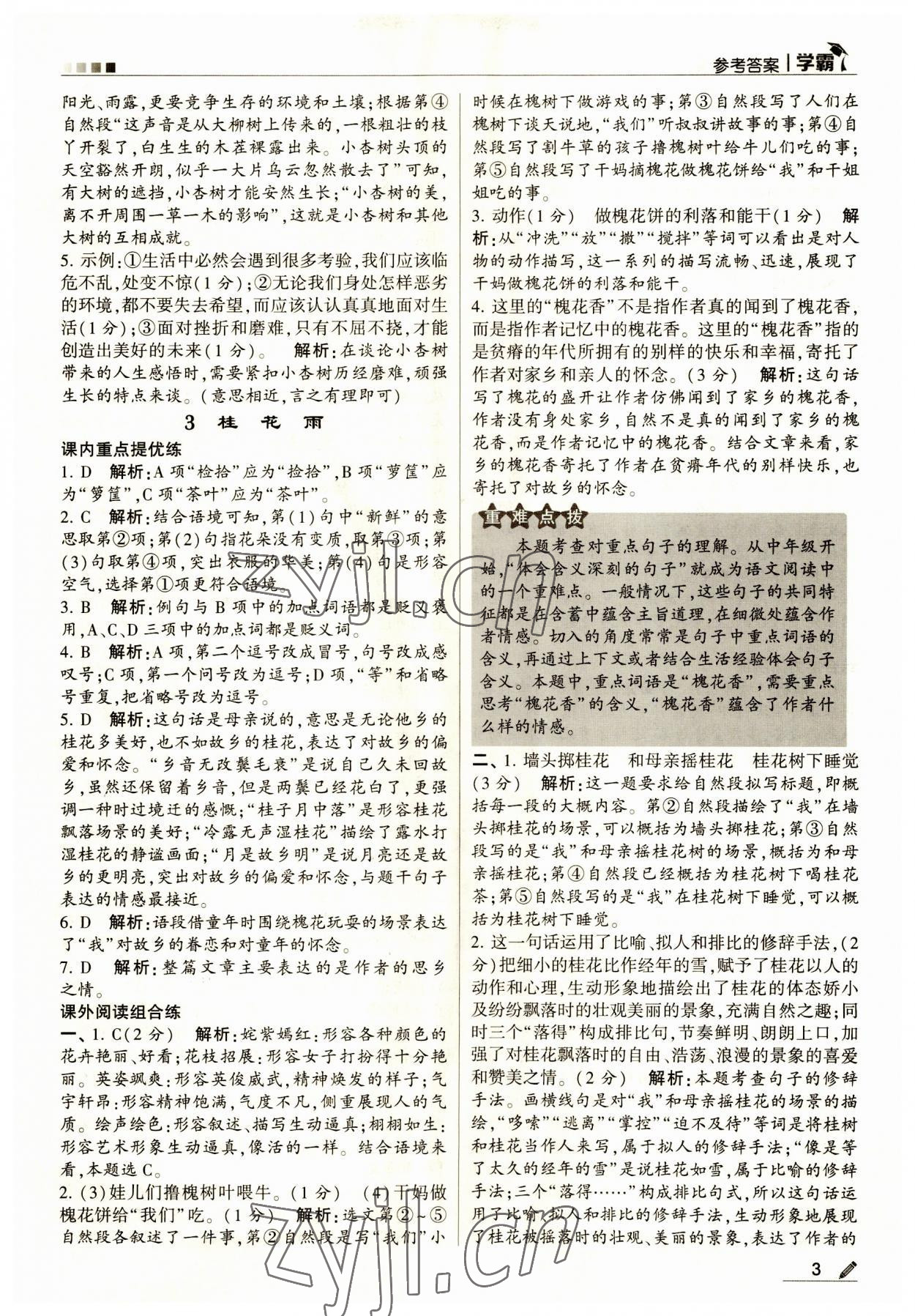 2023年經(jīng)綸學(xué)典學(xué)霸五年級(jí)語(yǔ)文上冊(cè)人教版 第3頁(yè)