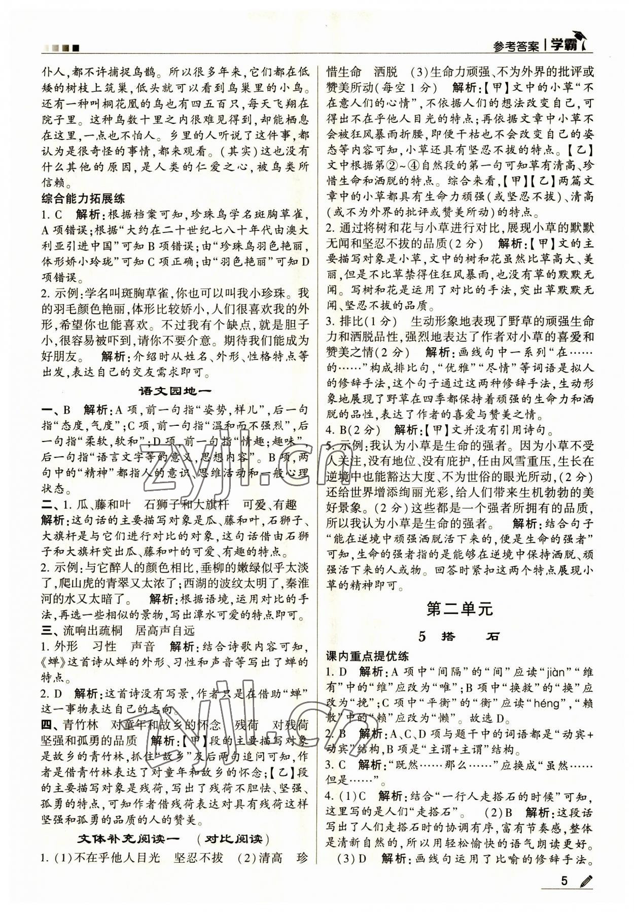 2023年經(jīng)綸學典學霸五年級語文上冊人教版 第5頁